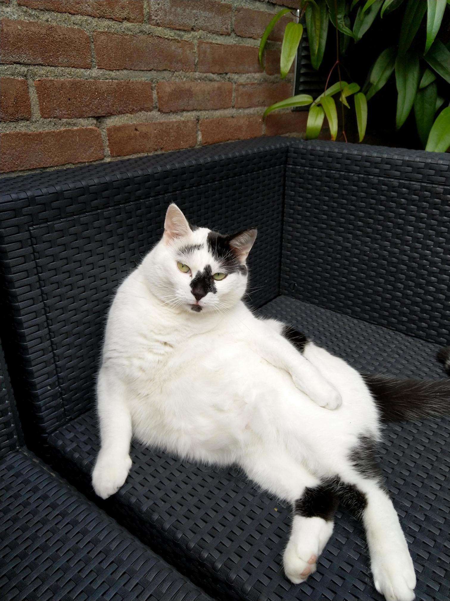 Draw Menlike One of Those French Girls.