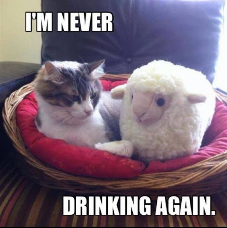 Drunken Stupor