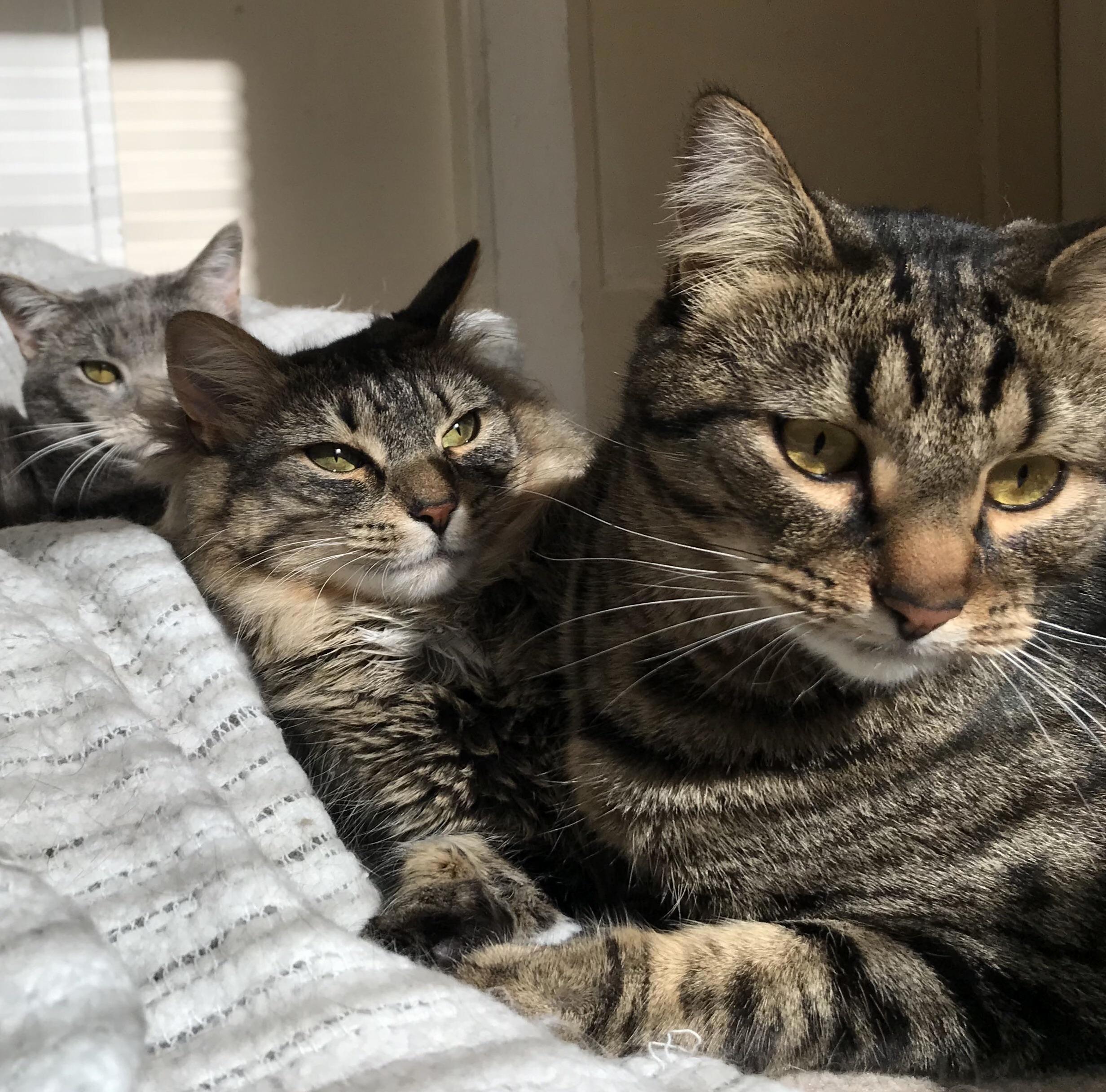 Fighting for the Sun