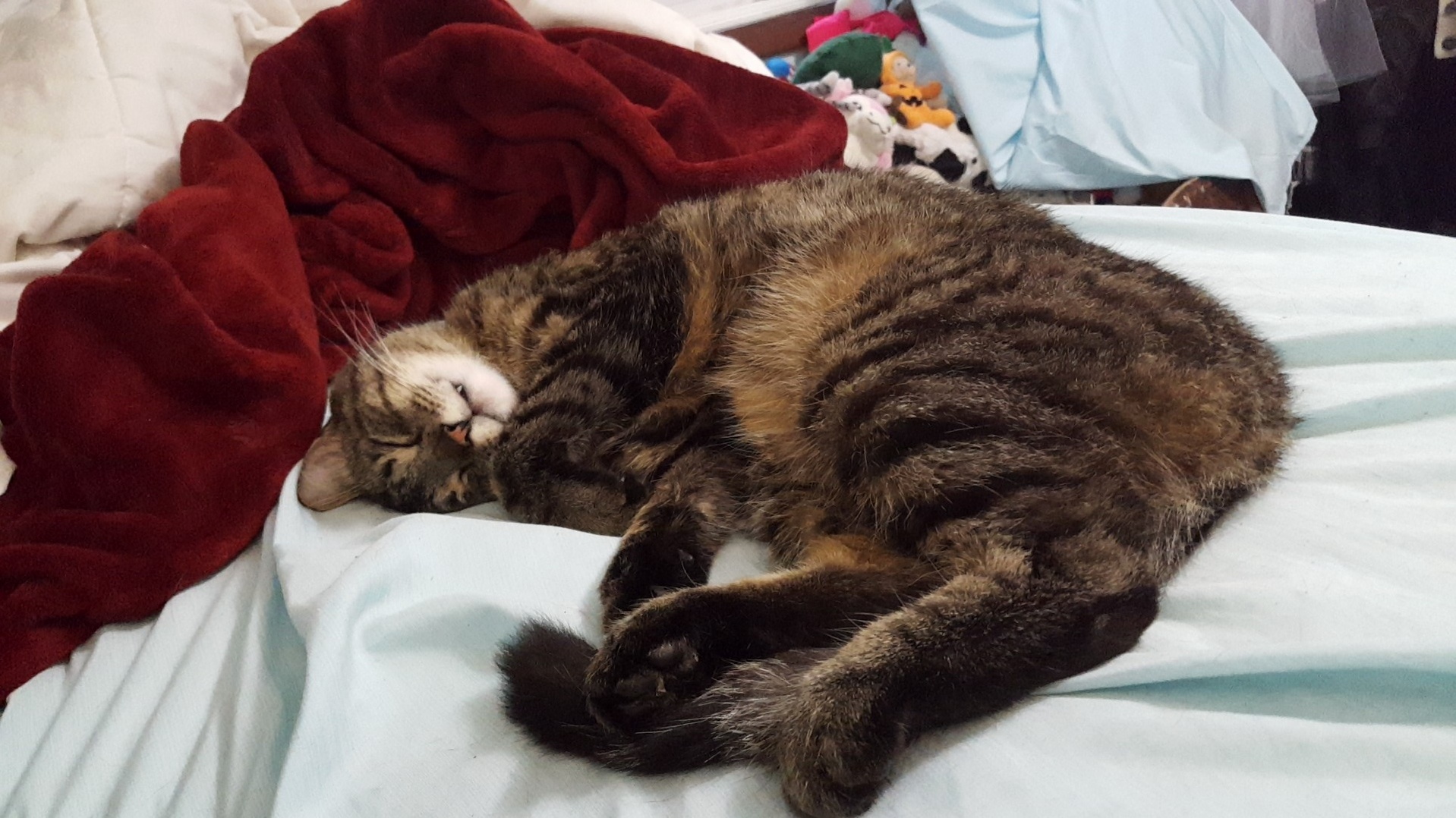 Fred Always Looks So Happy When Hes Napping