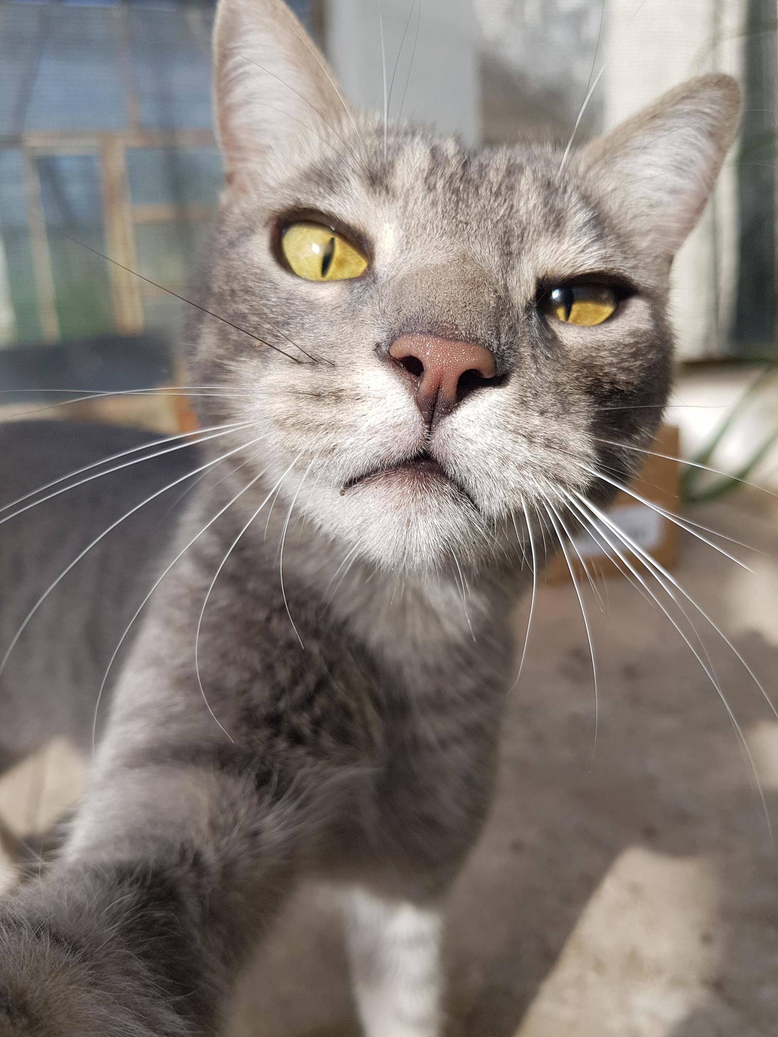 Give Me That Thing! I Need to Ask Reddit Why You Insist on Picking Up My Poopoo. Youre So Weird, Mom!