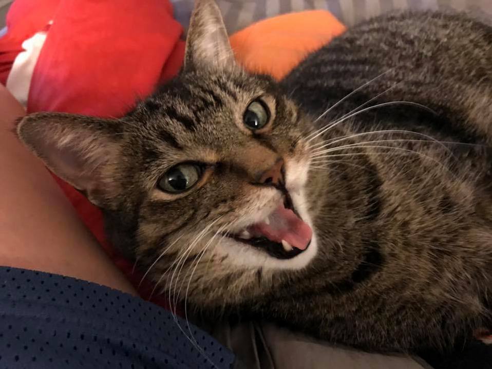Gregorys Sass Needs a Caption