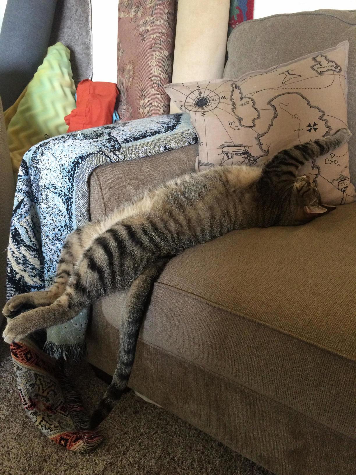 He Is a Weird Sleeper