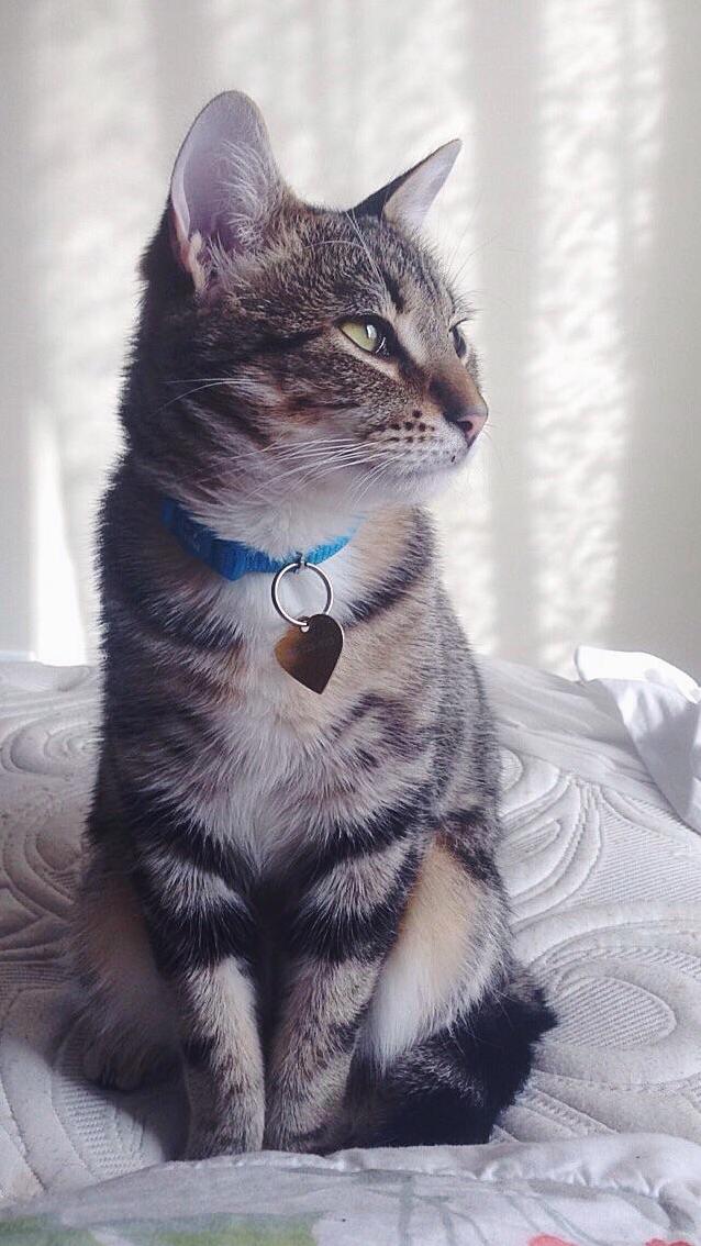 He Knows Hes Handsome Because I Tell Him Every Day.
