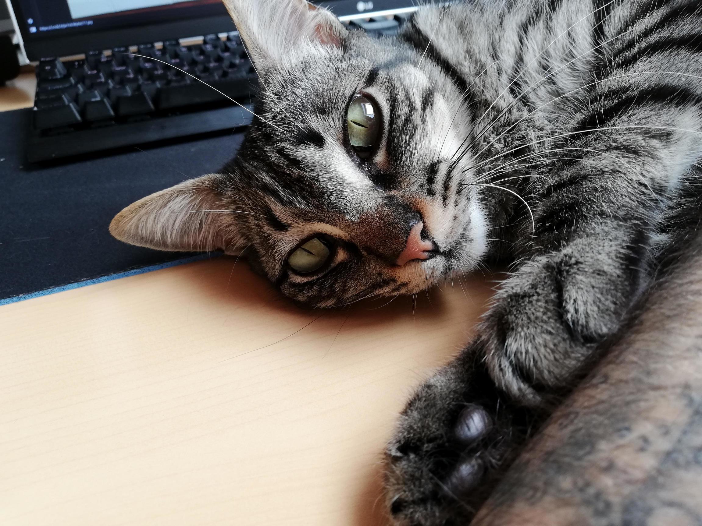 He Likes to Join Me on Computer Sessions