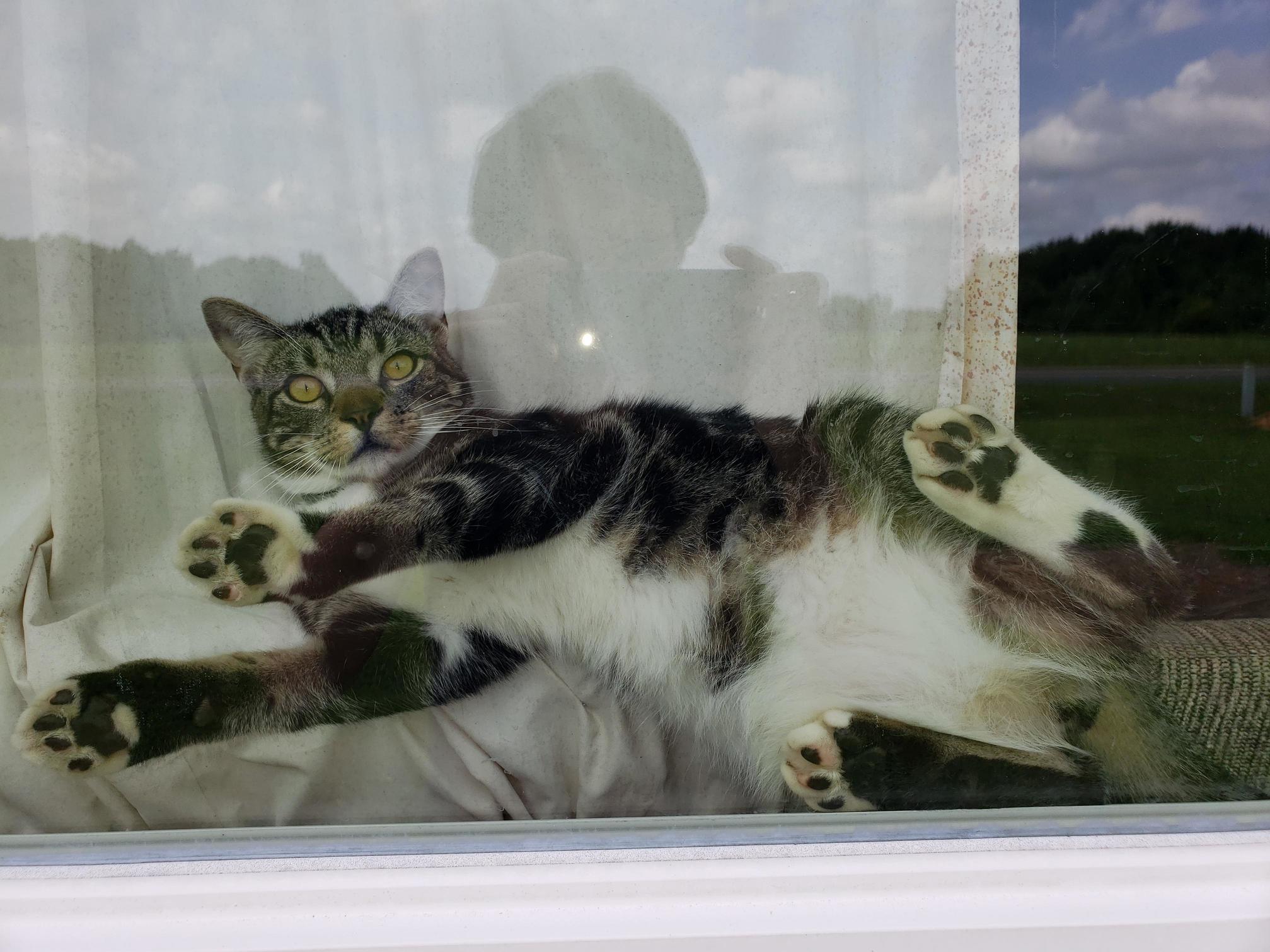 He Looks Surprised That He Was Found