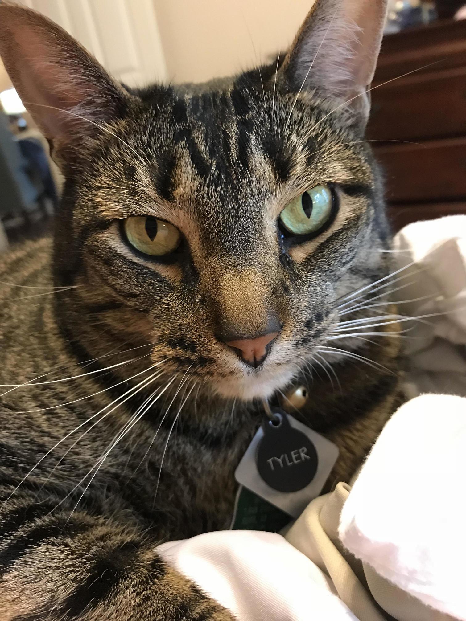He Loves It When I Rub Him Between His Toes.