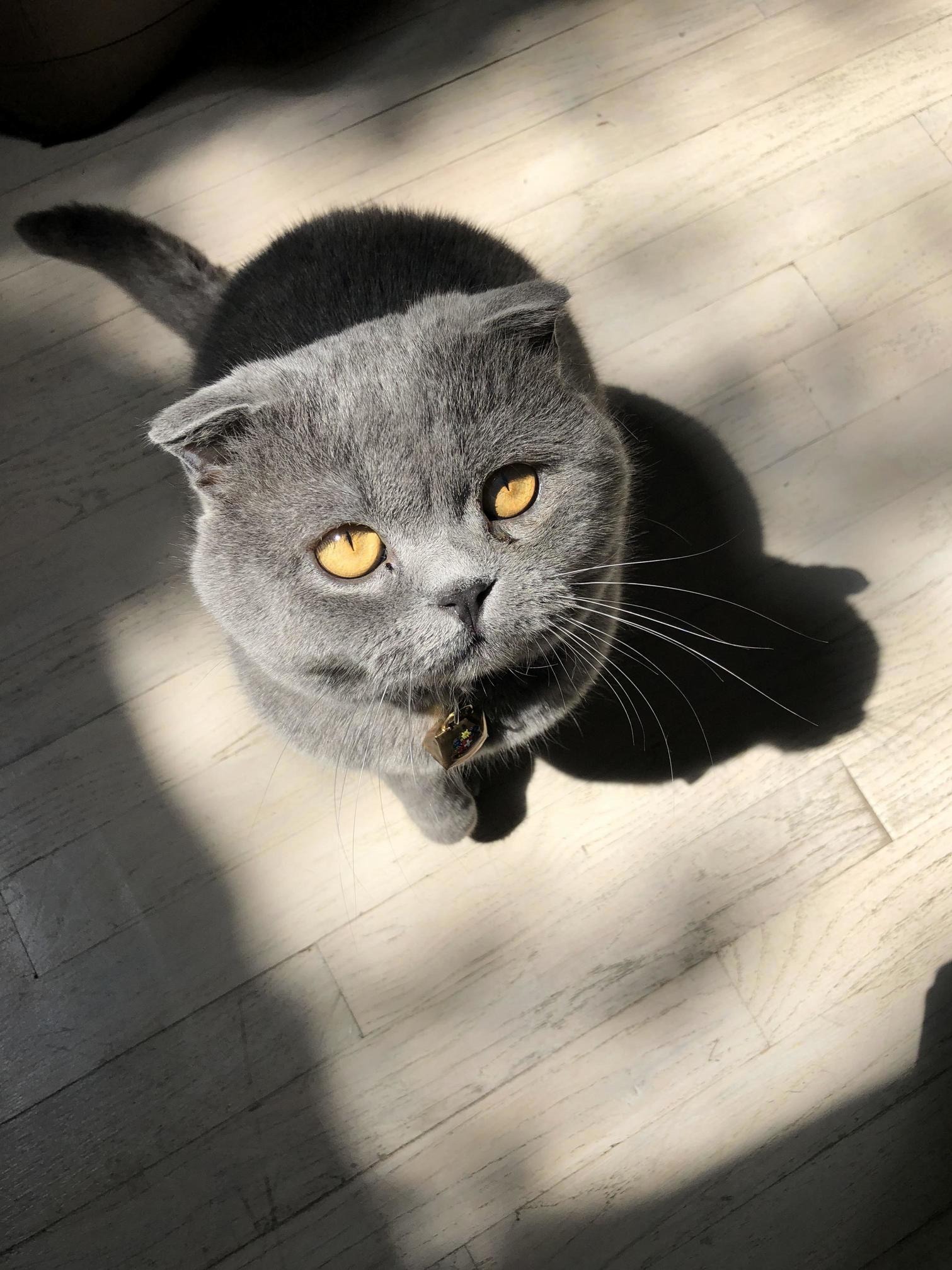 He Loves to Bask in the Sun