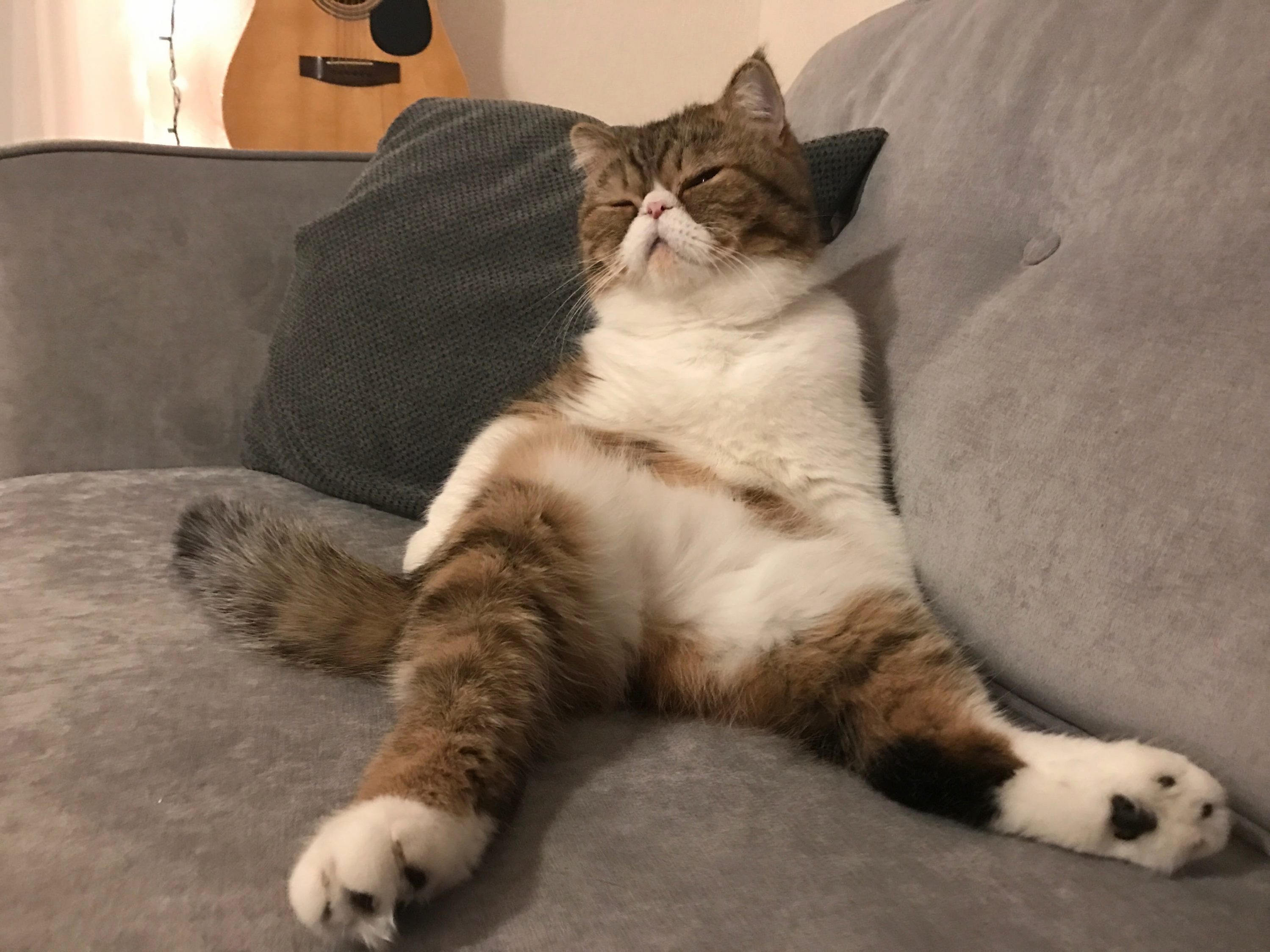 He Sits Like a People
