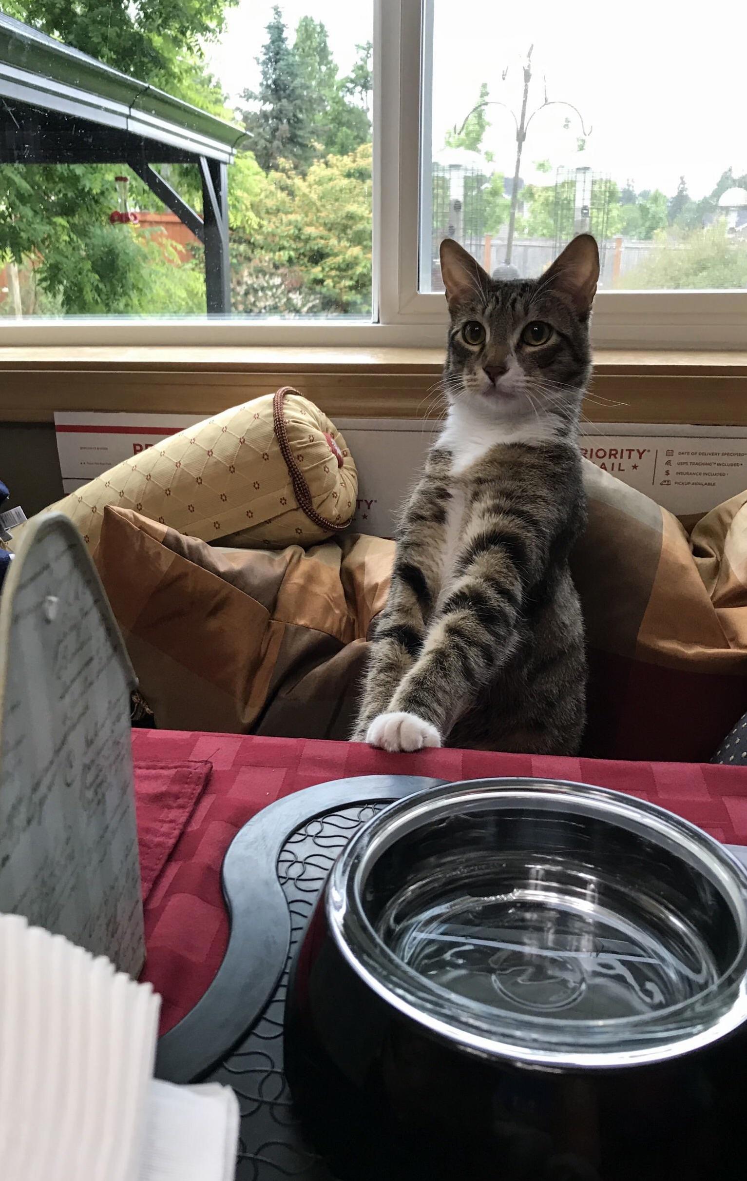 Head of the Table.