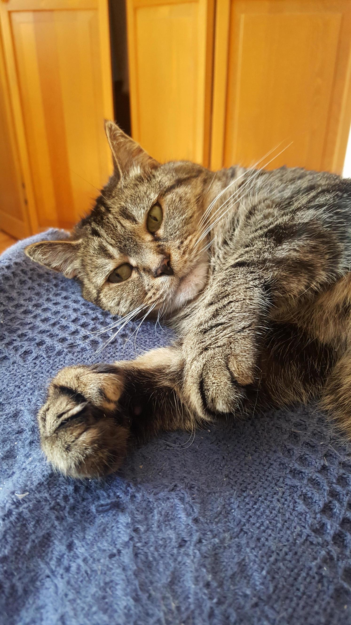 Her Thumbs Are the Cutest Things.