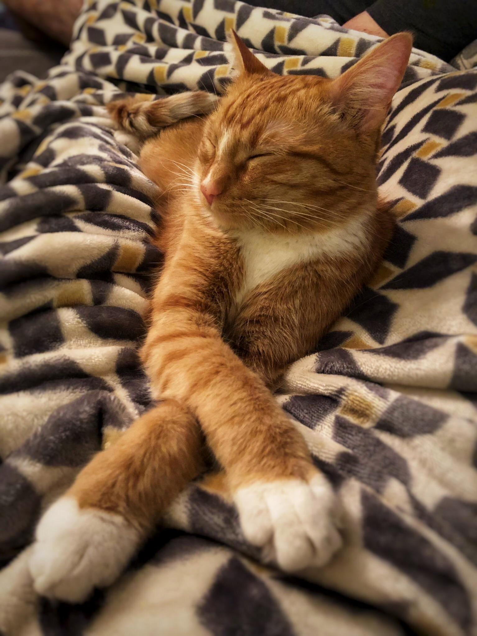 Hes a Prince.