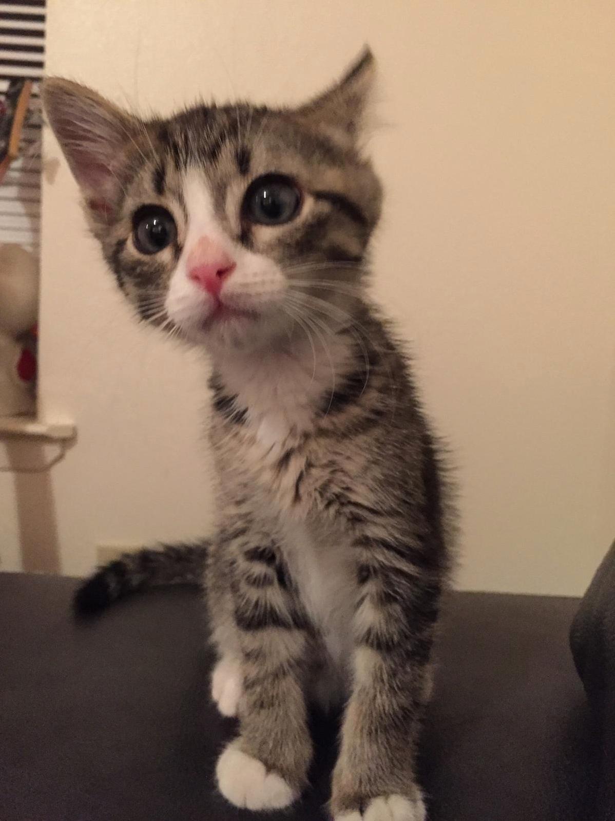 His Mother Left Him in a Shed for Three Days. I Think He Needs a New One.
