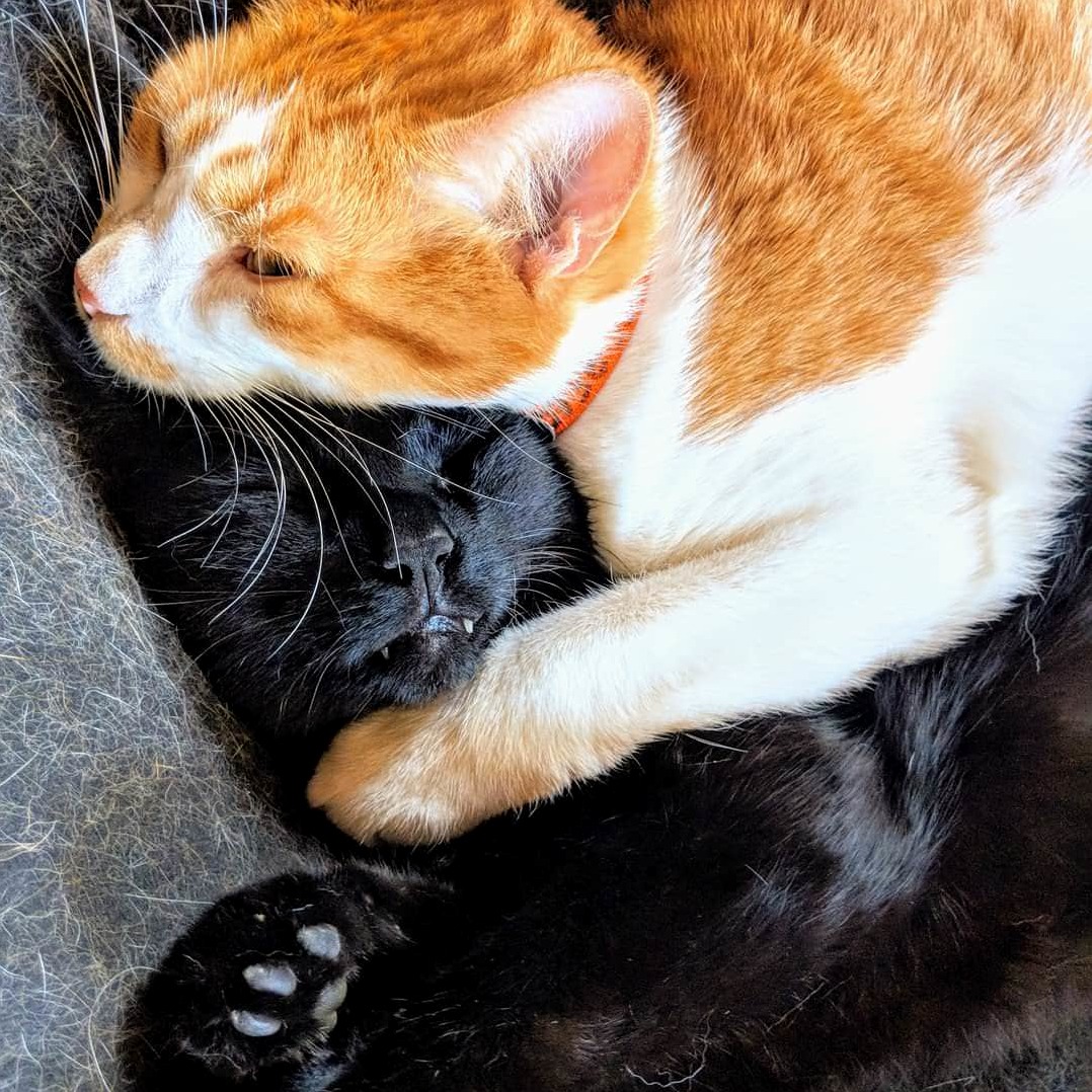 Hugs! Schmugs...