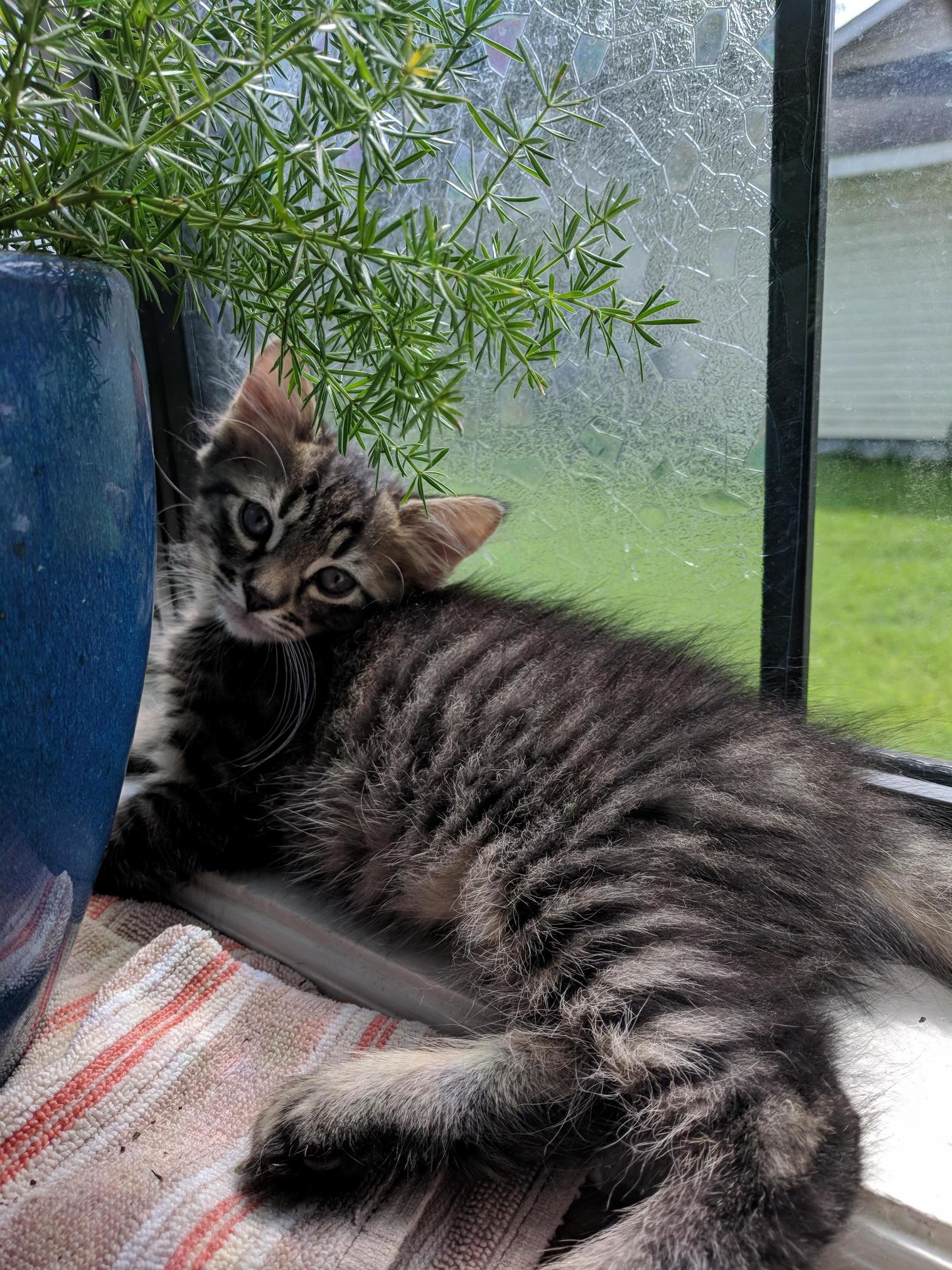 I Am Having Trouble Naming Him. Any Ideas