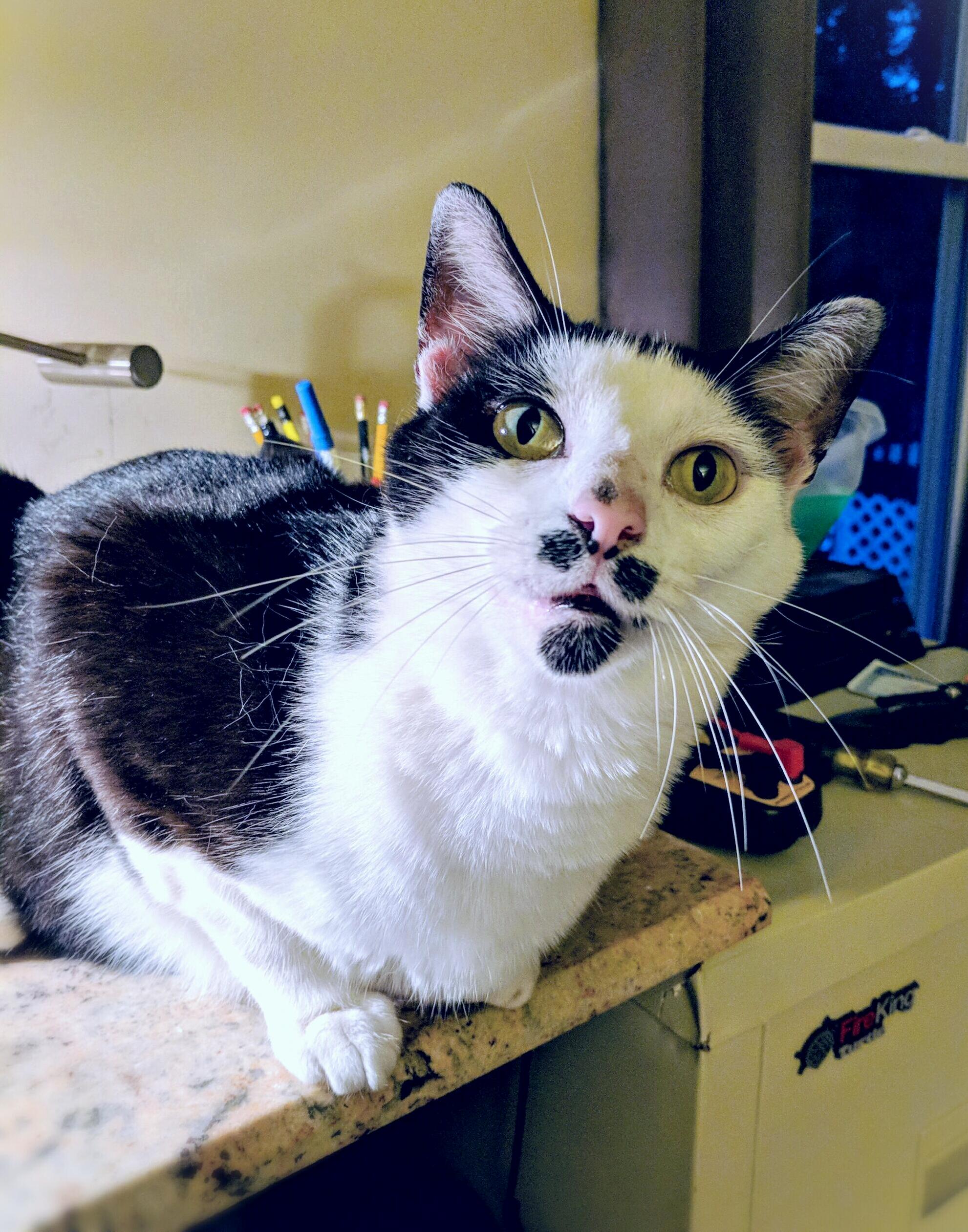 I Feel Like Hes Trying to Say Something...