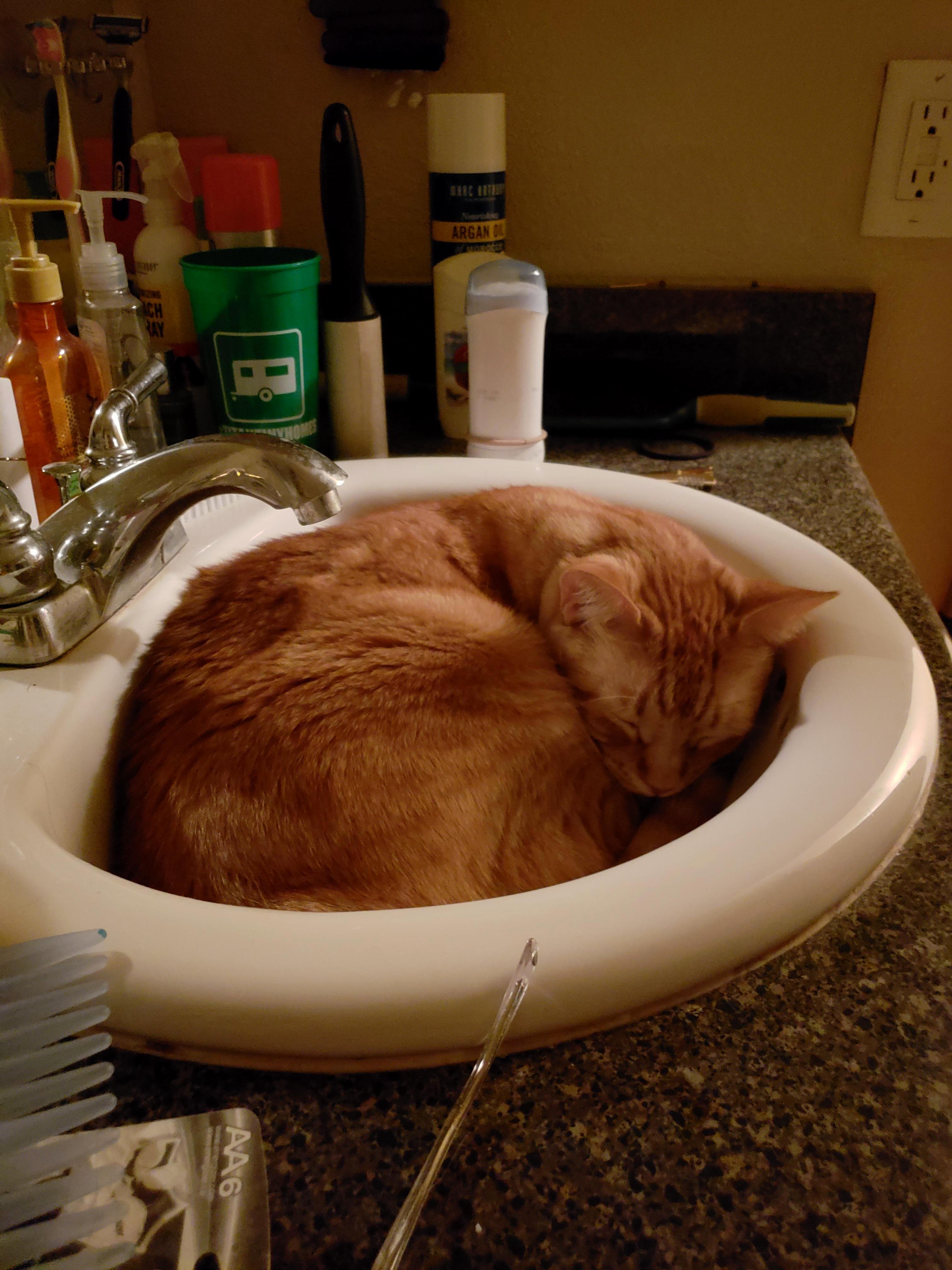 I Forgot, That Today Was Bathing Time!