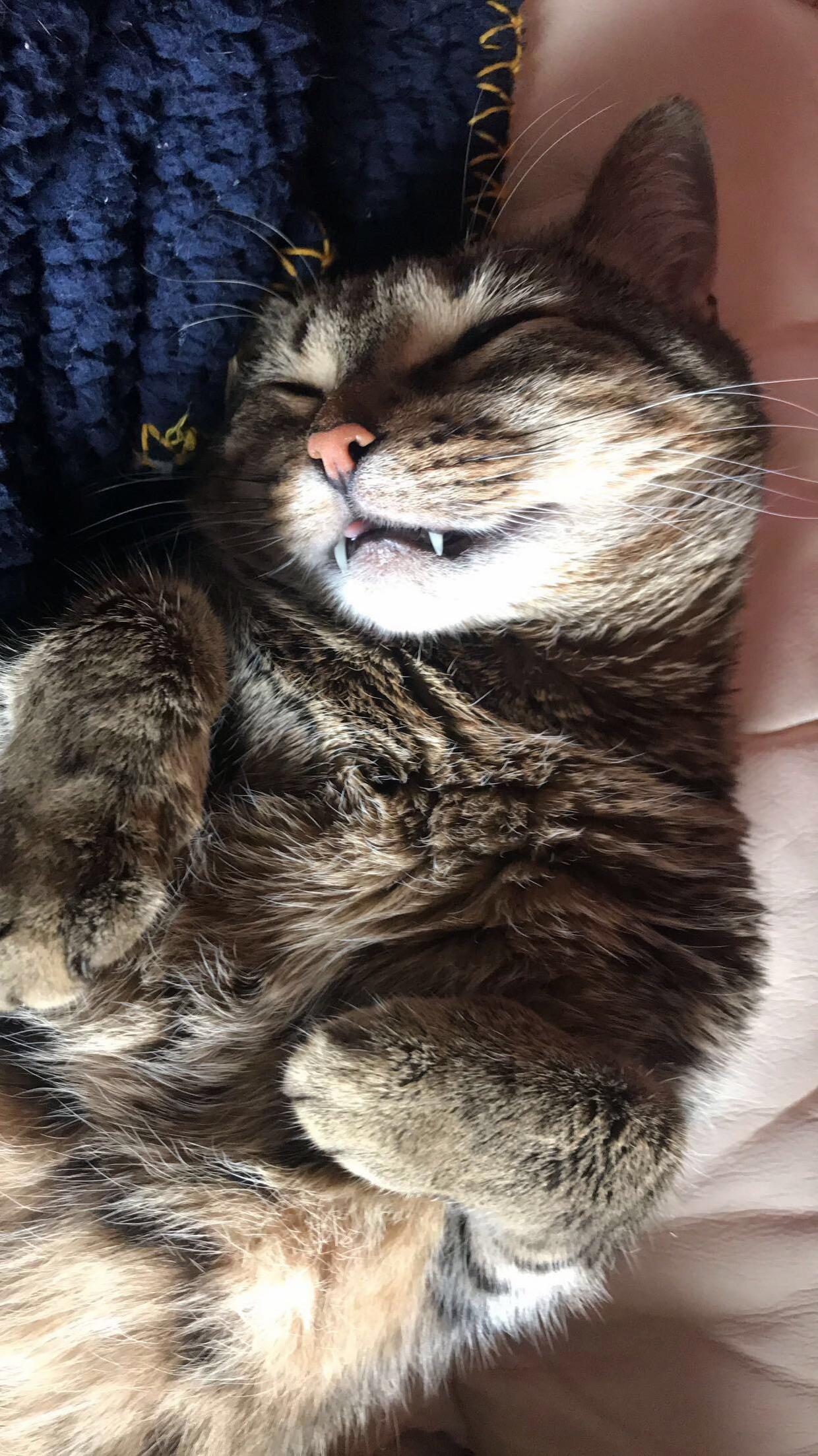 I Love Coming Home and Finding Her Sleeping Like This