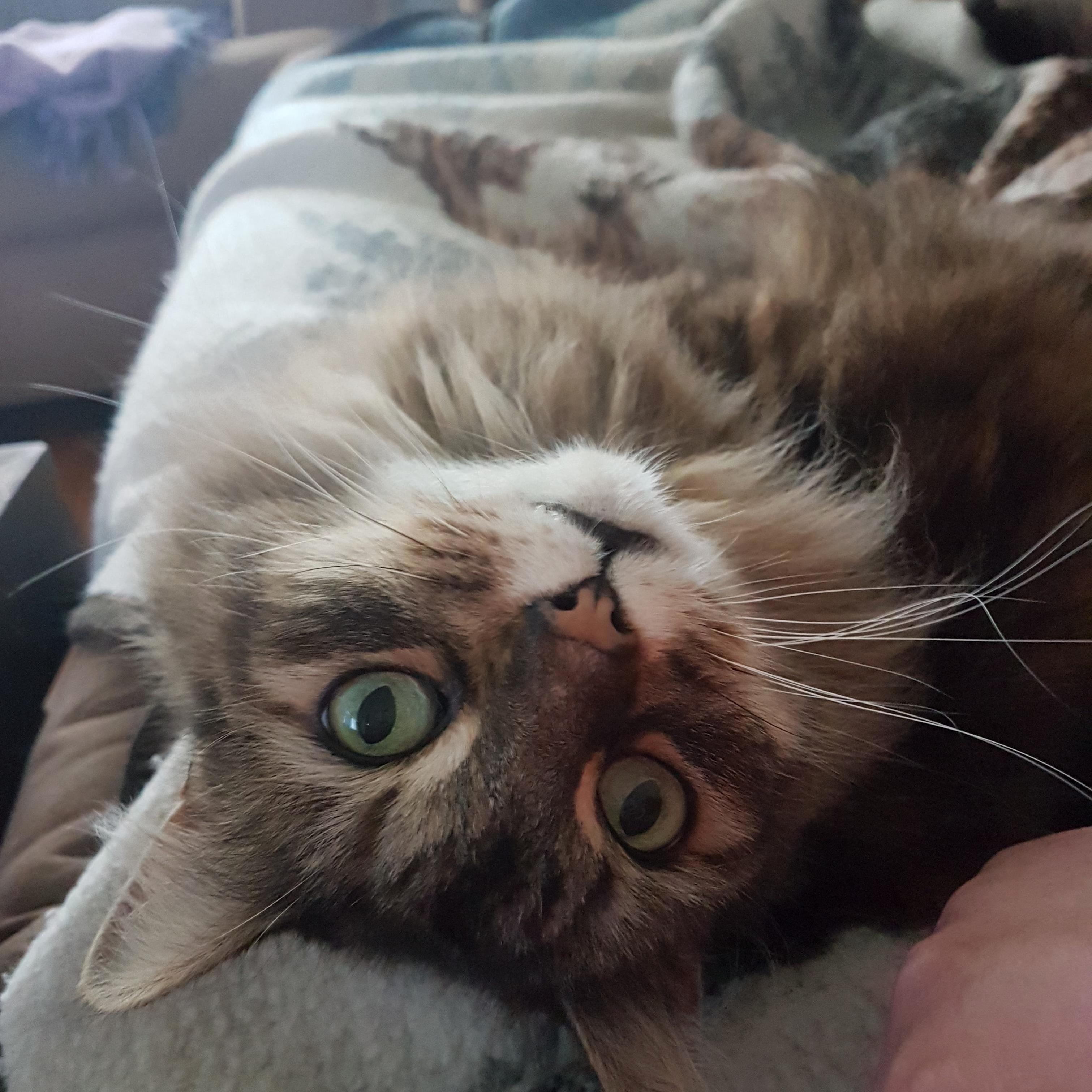 I Love Her Eyes