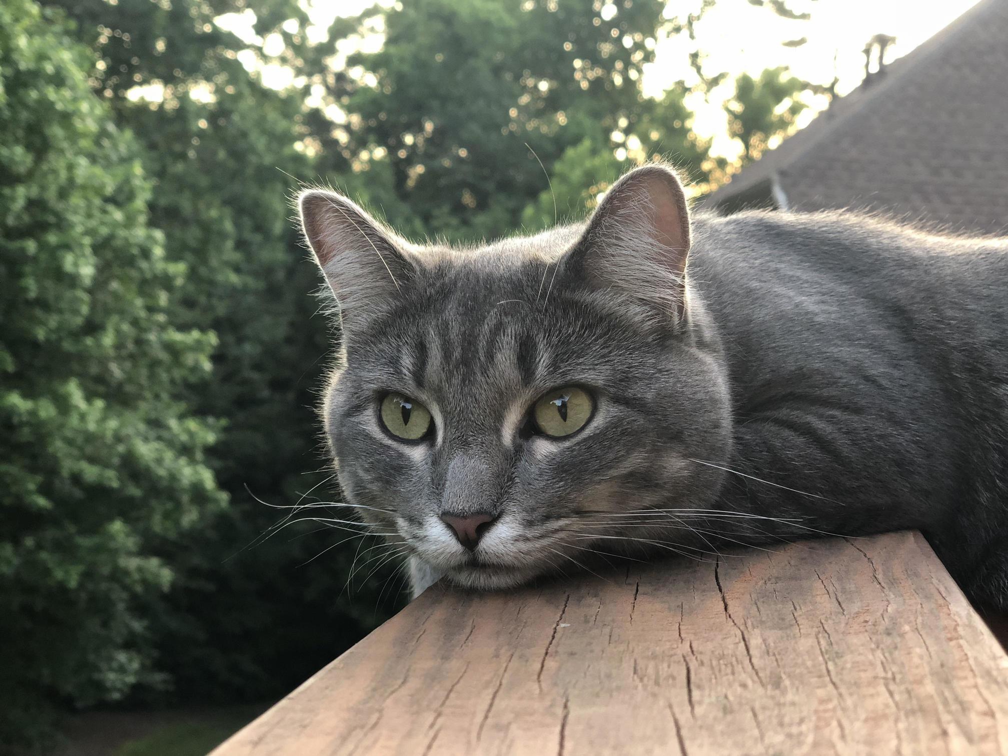 I Think This Picture Purfectly Captures How Soft August Is.