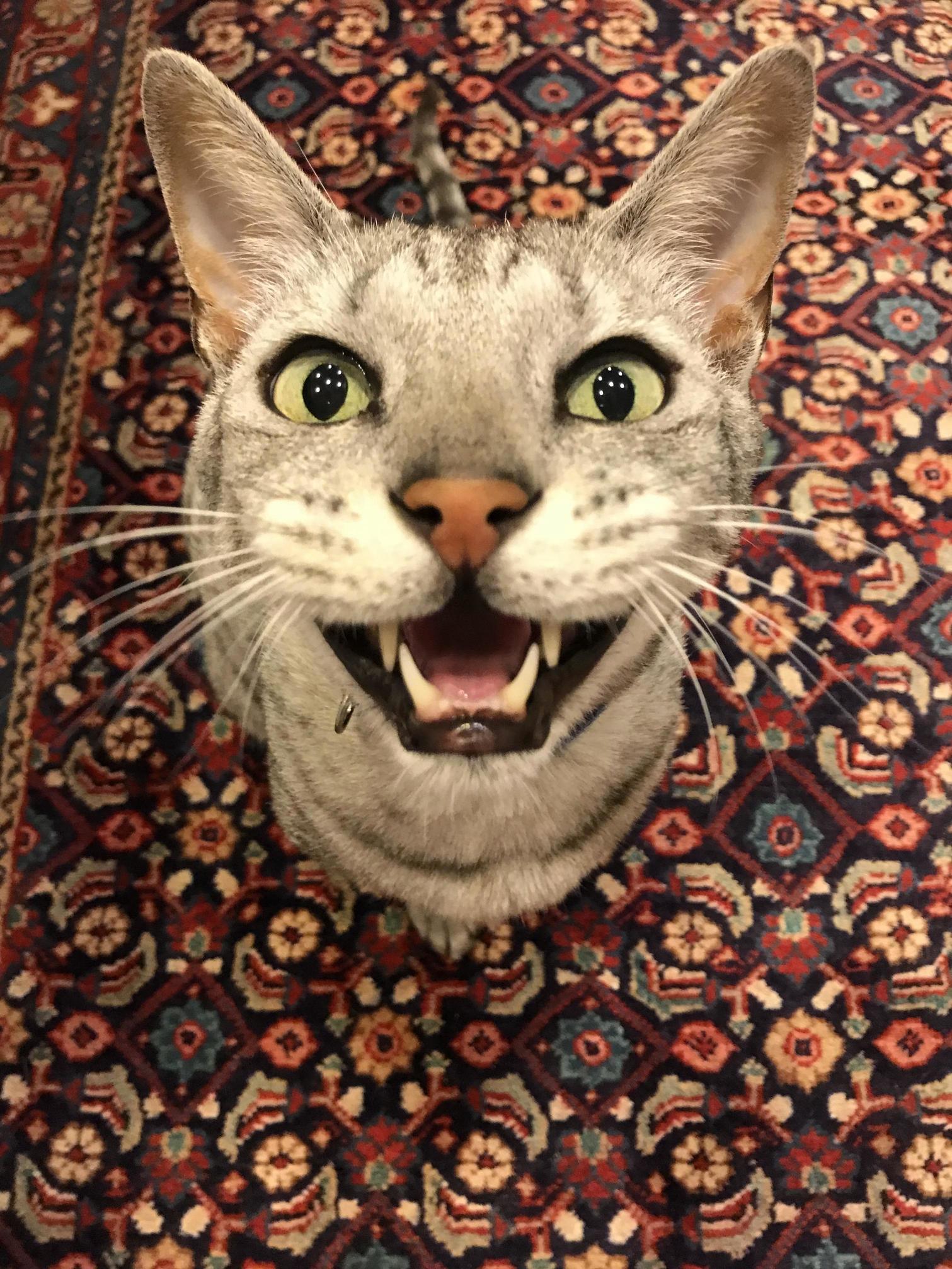 I Told Him He Was the Cutest Boy and Everyone Thinks So