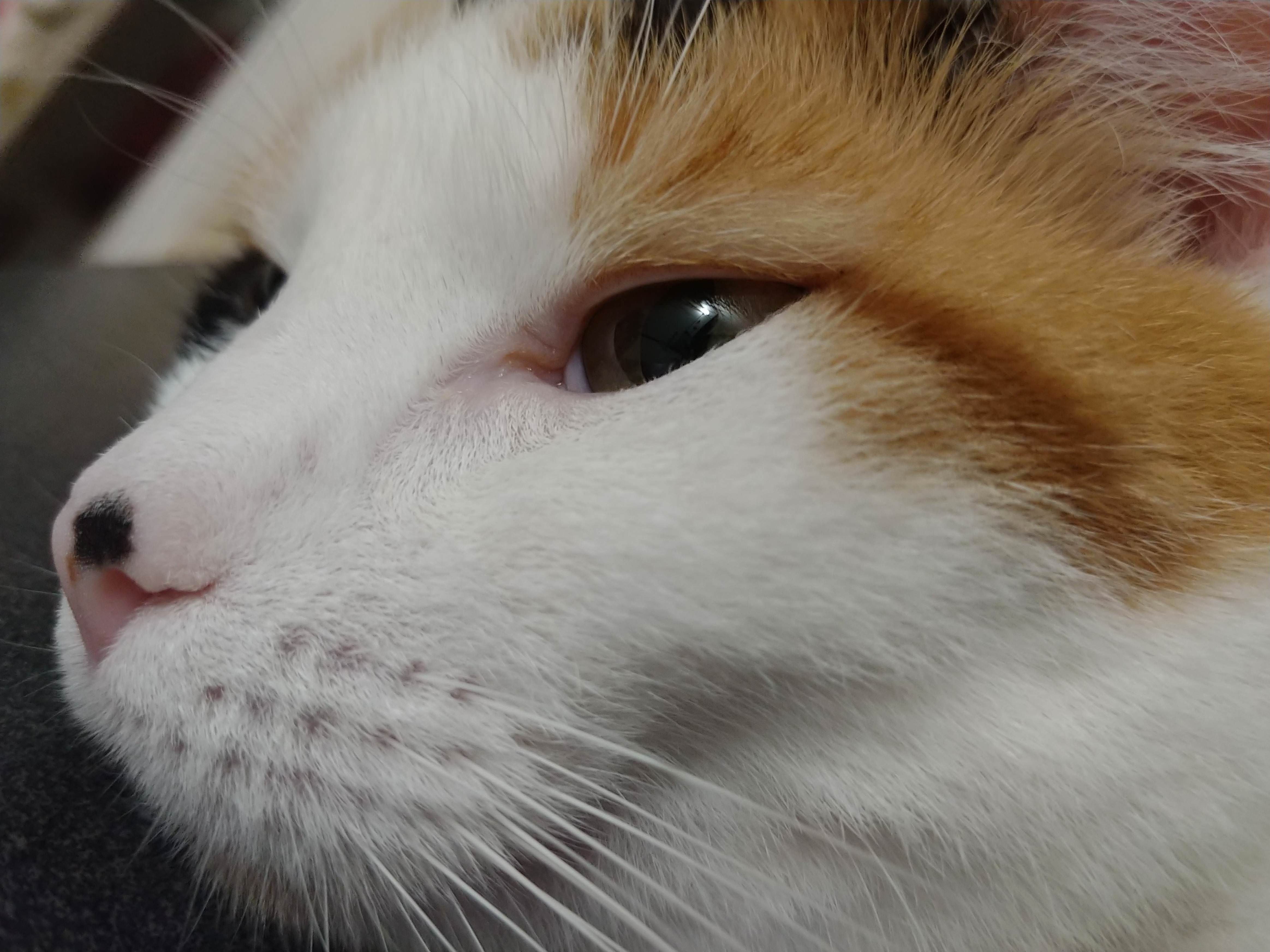 Im Surprised She Let Me Get This Close.