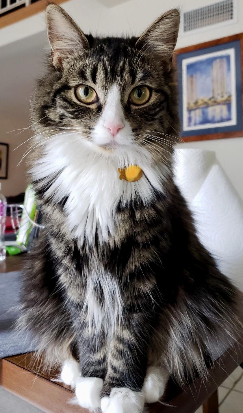 Its Like She Knows Shes Beautiful.