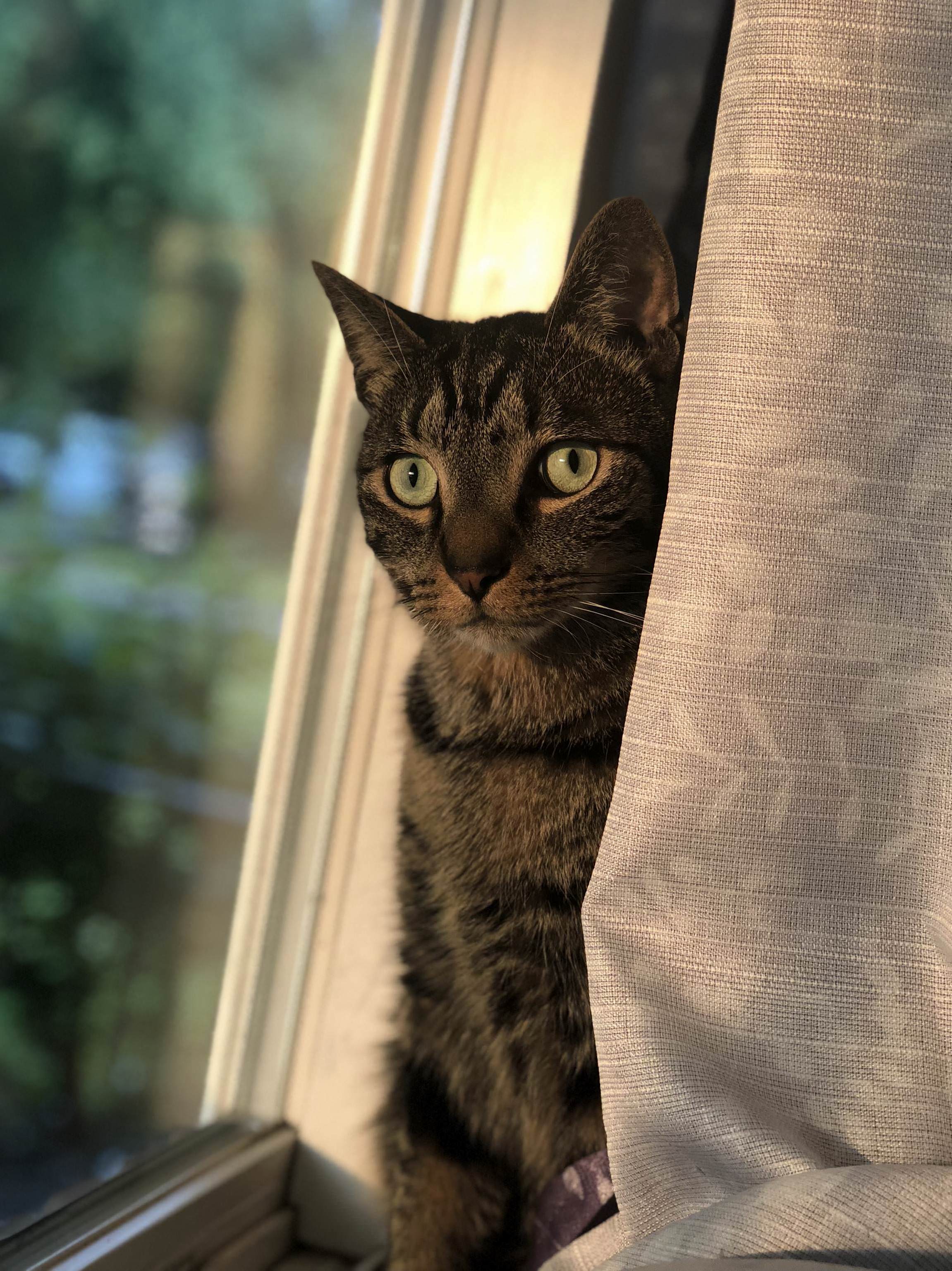 Joseph Looking Handsome!