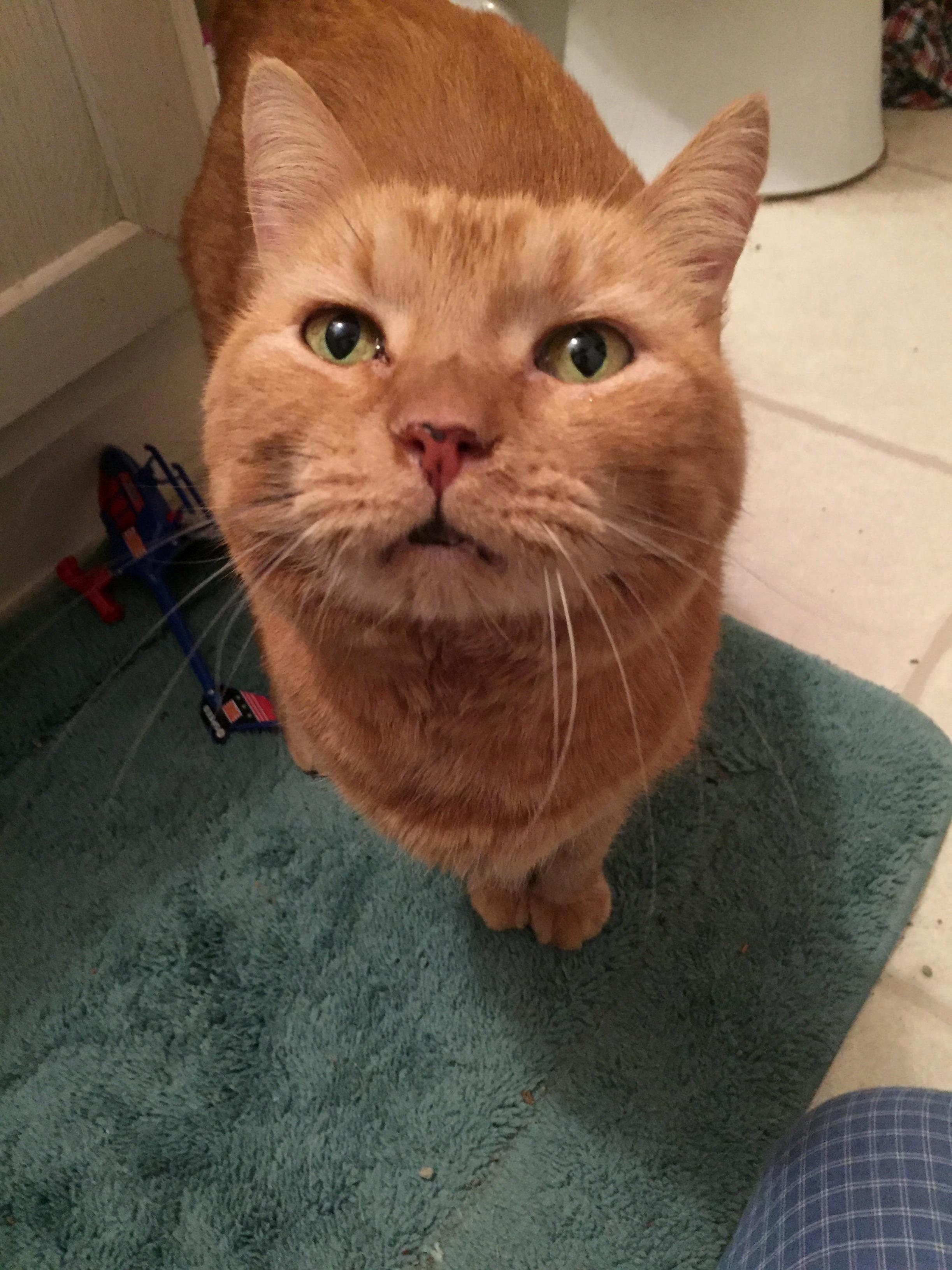 Just Adopted This Ten Year Old. Need Name Suggestions Please