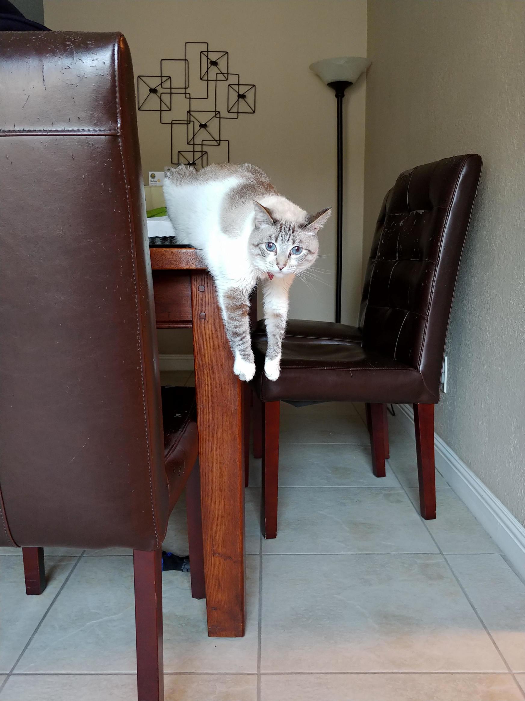 Leela Likes to Hang Out.