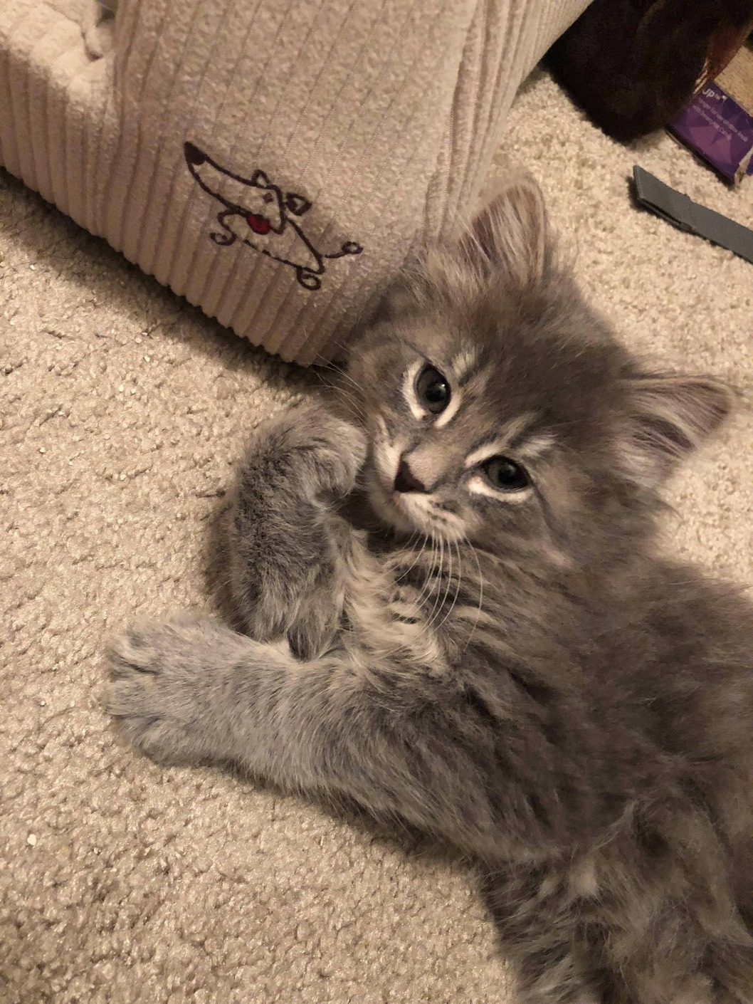 Let Me Just Find the Right Pose...
