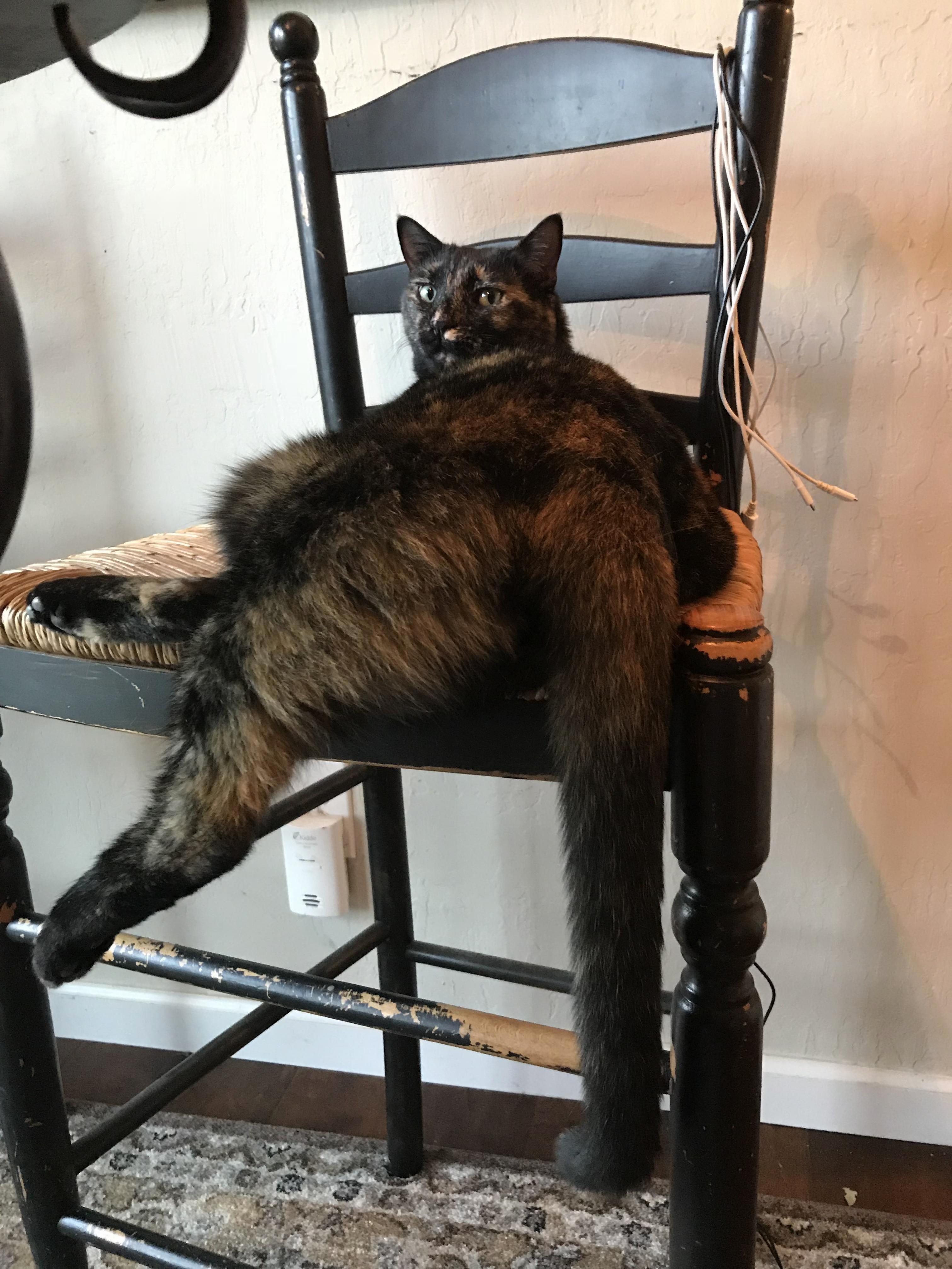 Look Back at It. My Girl Thicc