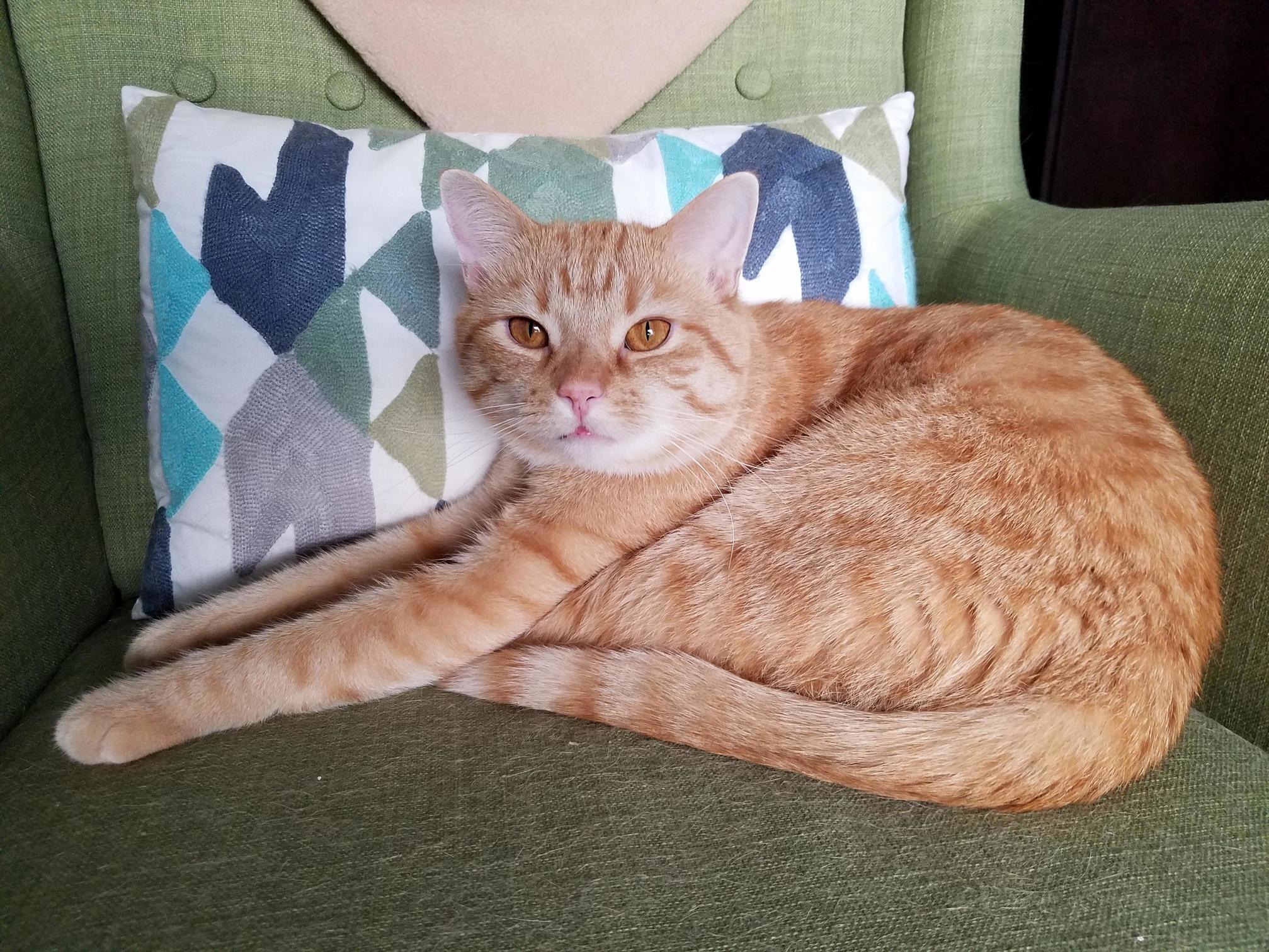 Loooooooooooooooooong Arms.