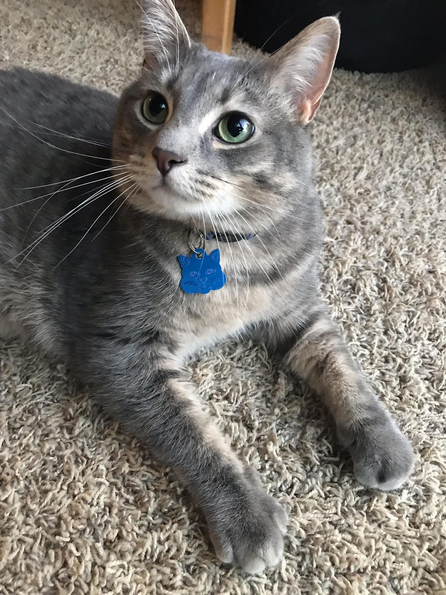 Macklin Is Three-years-old Today. Happy Birthday, Little Buddy.