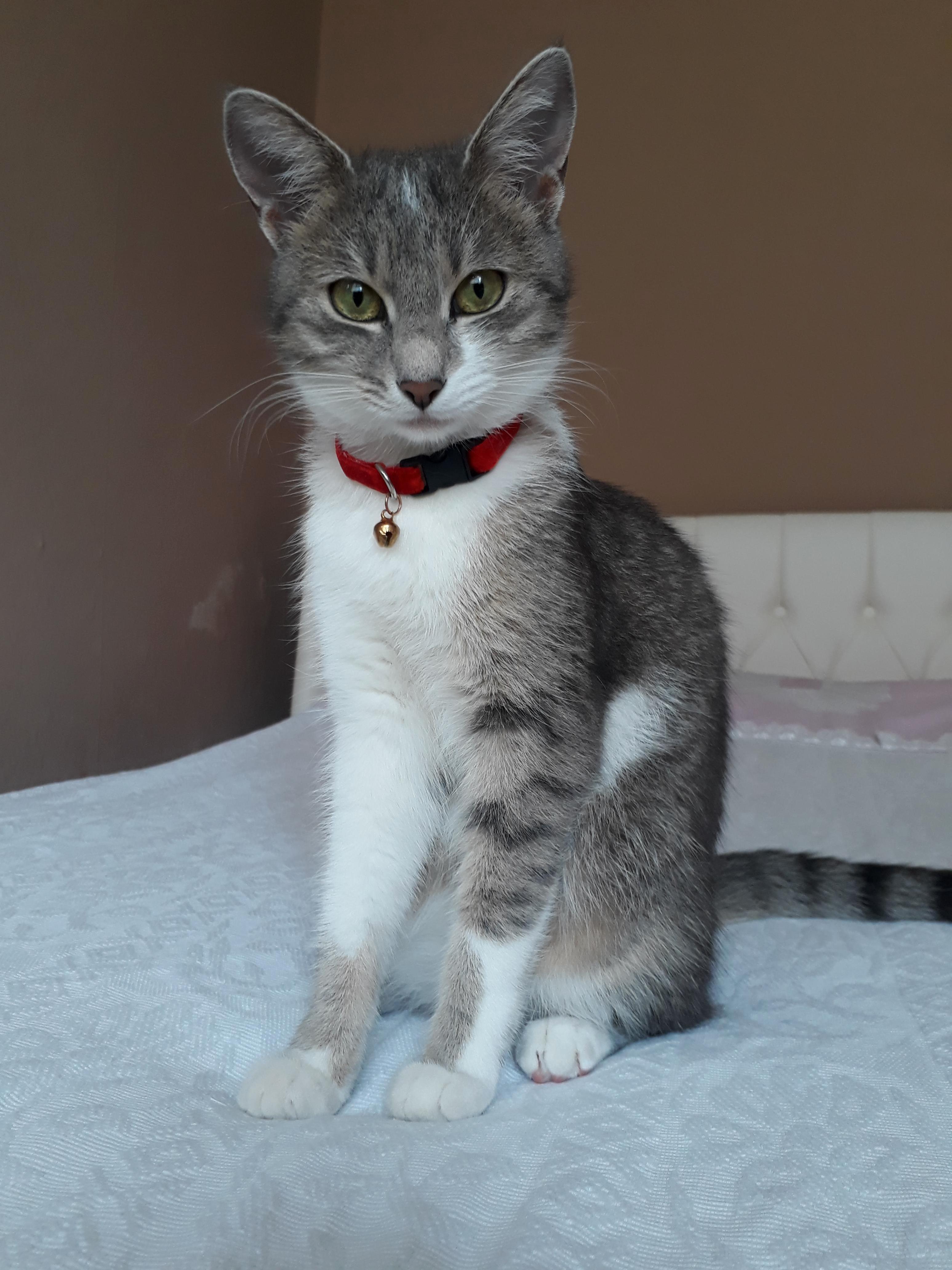 Mia