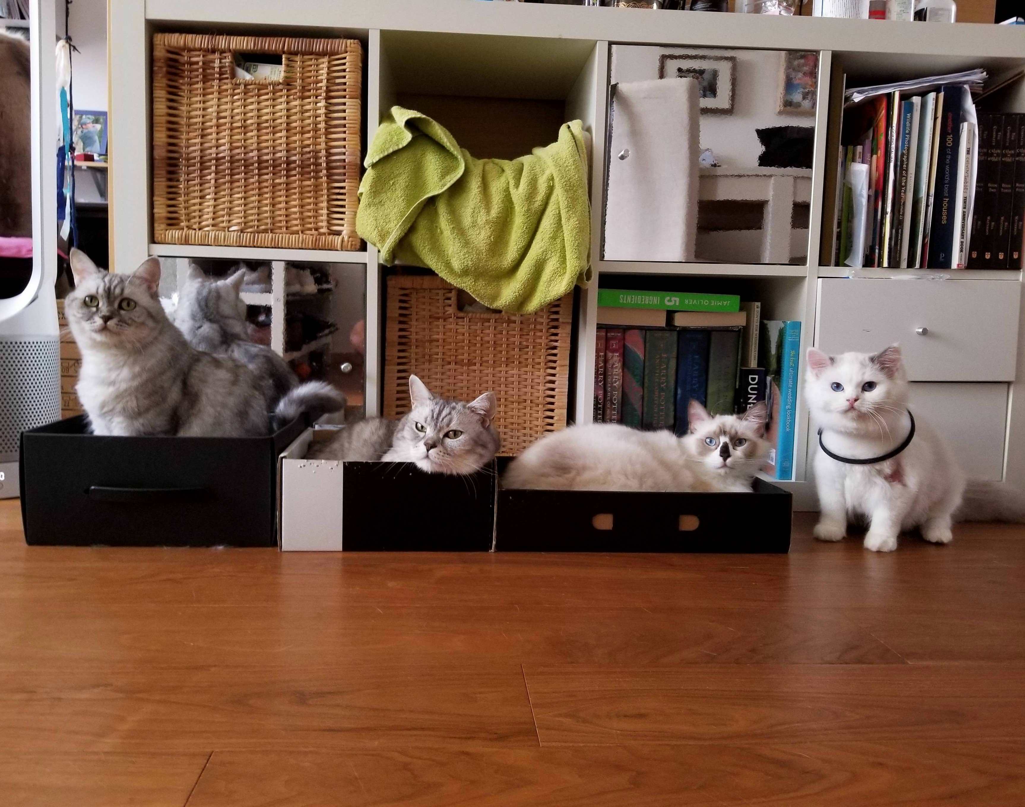 Missing One Box
