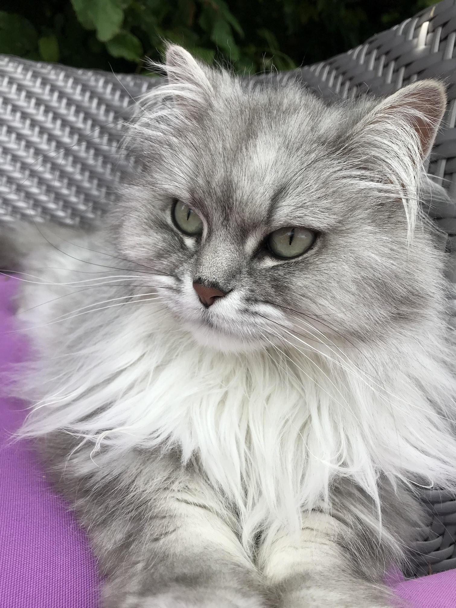 Mona Is So Stunning