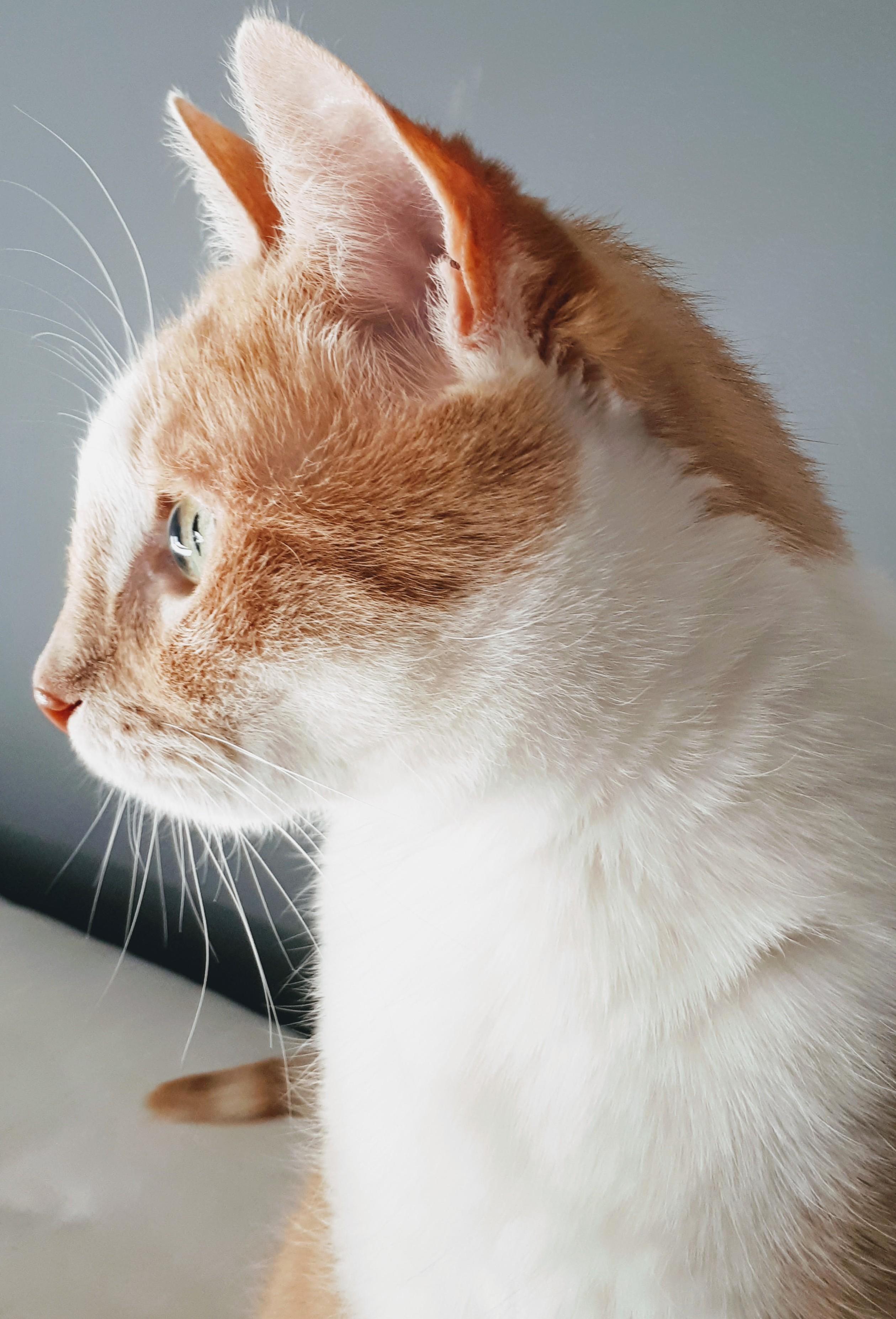 My 13 Year Old Princess