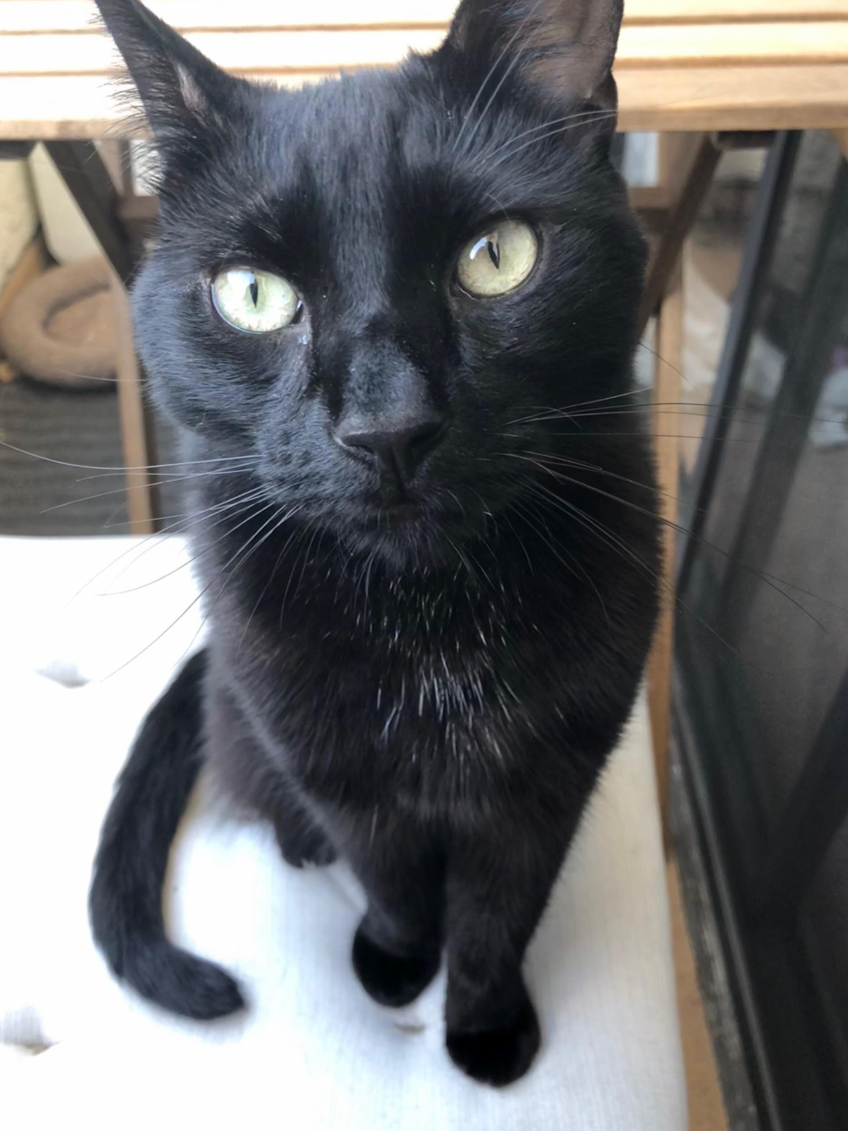 My Beautiful Boy