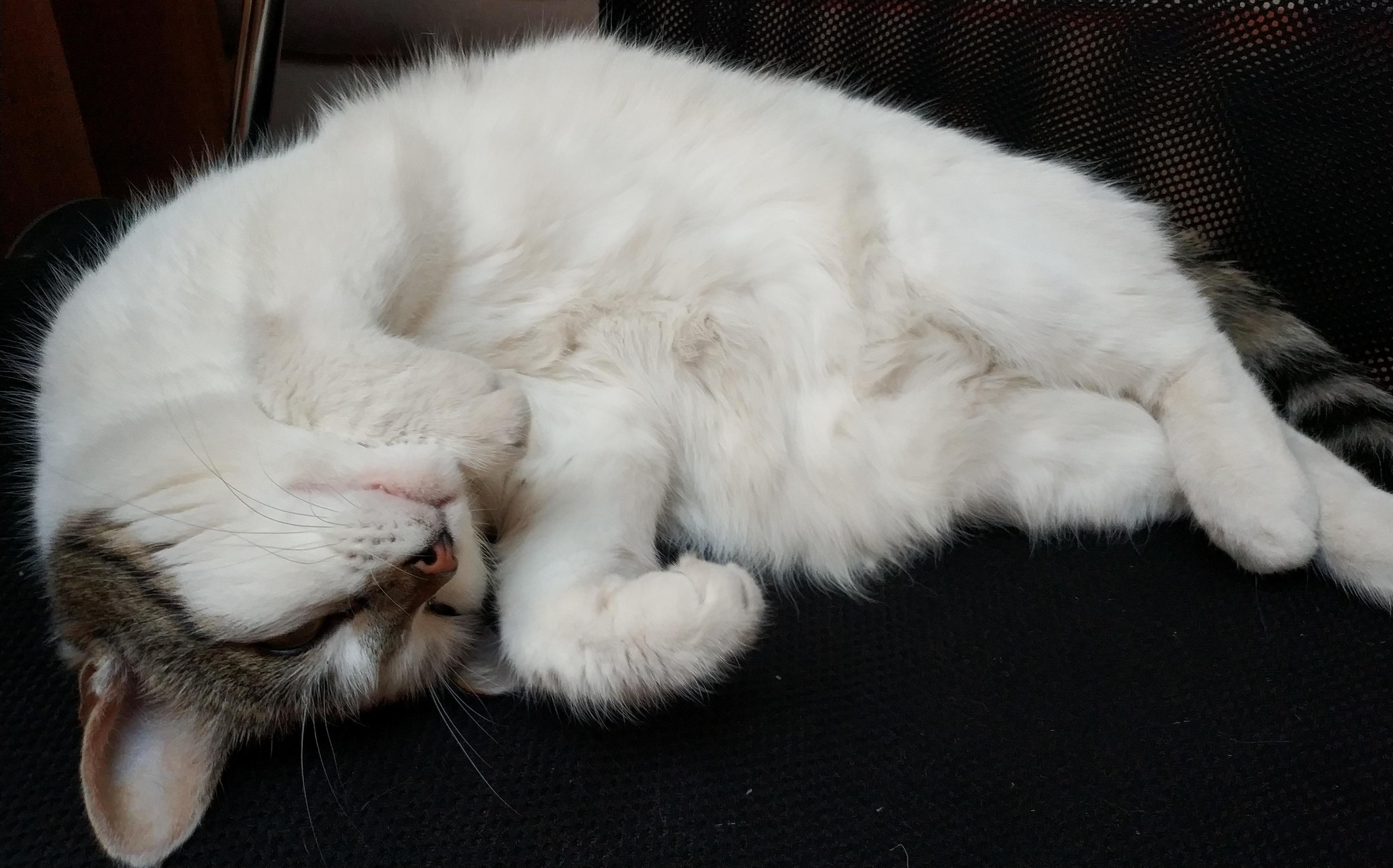 My Beautiful Model