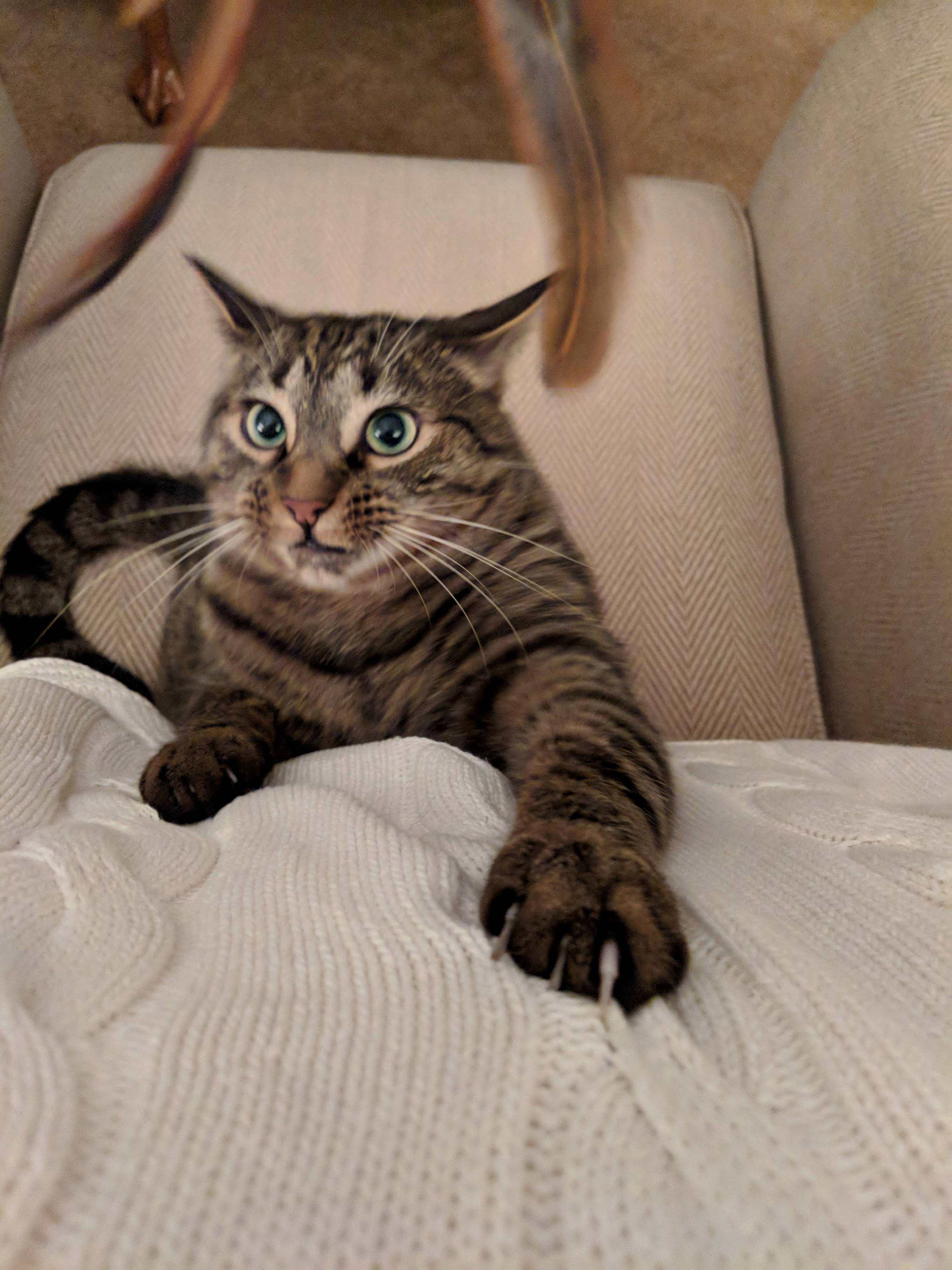 My Best Bud and Also My Alarm Clock.