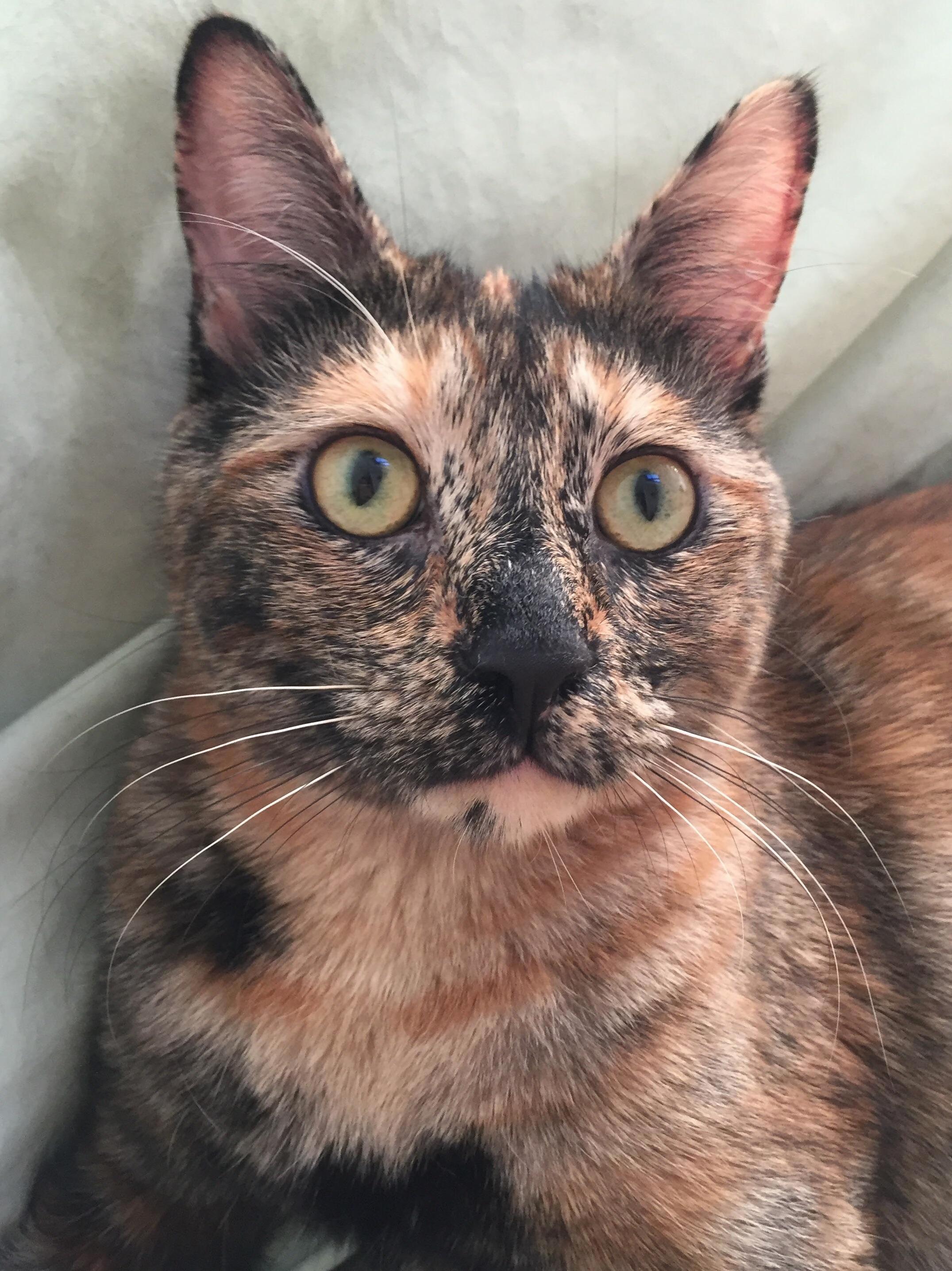 My Freckled Baby Is Always Prettiest in the Morning Light.