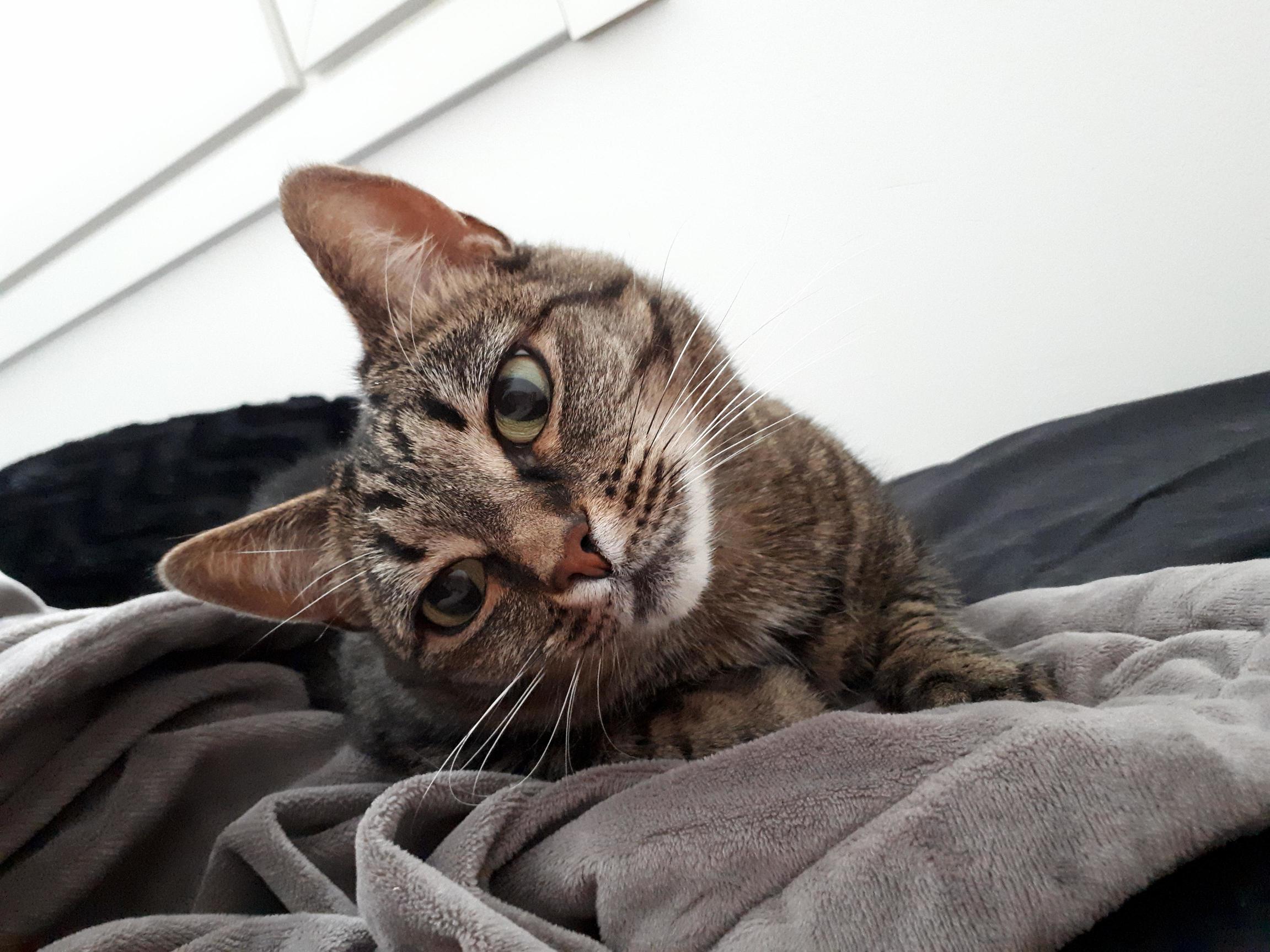 My Girl Nyxie