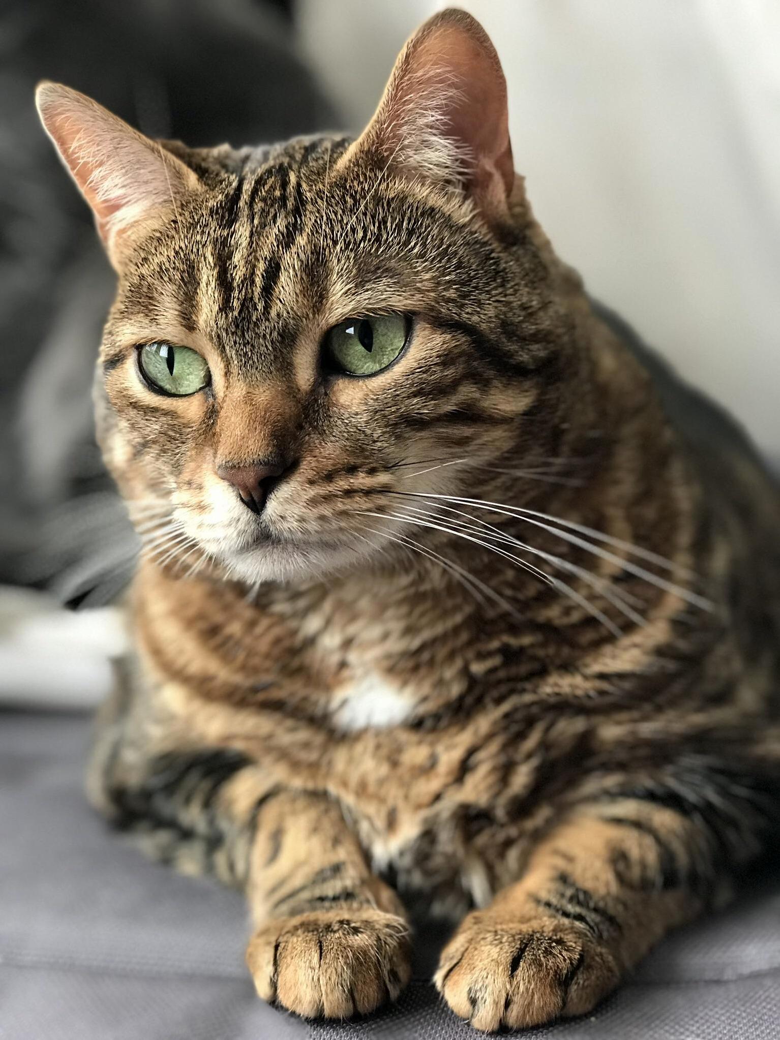My Gorgeous Rue.