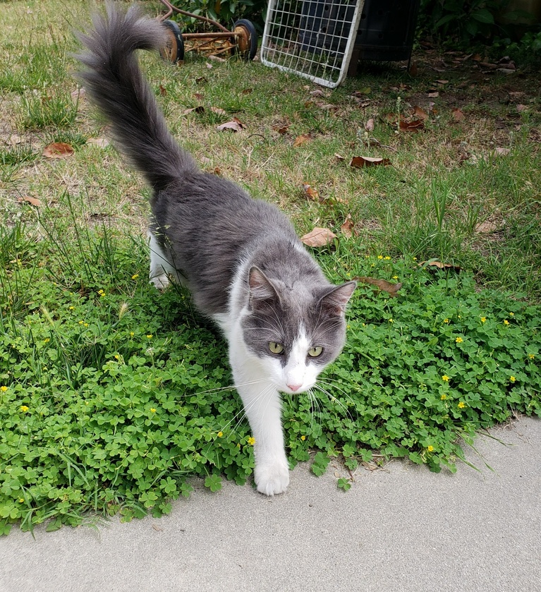 My Green-eyed Baby Enjoying the Outdoors