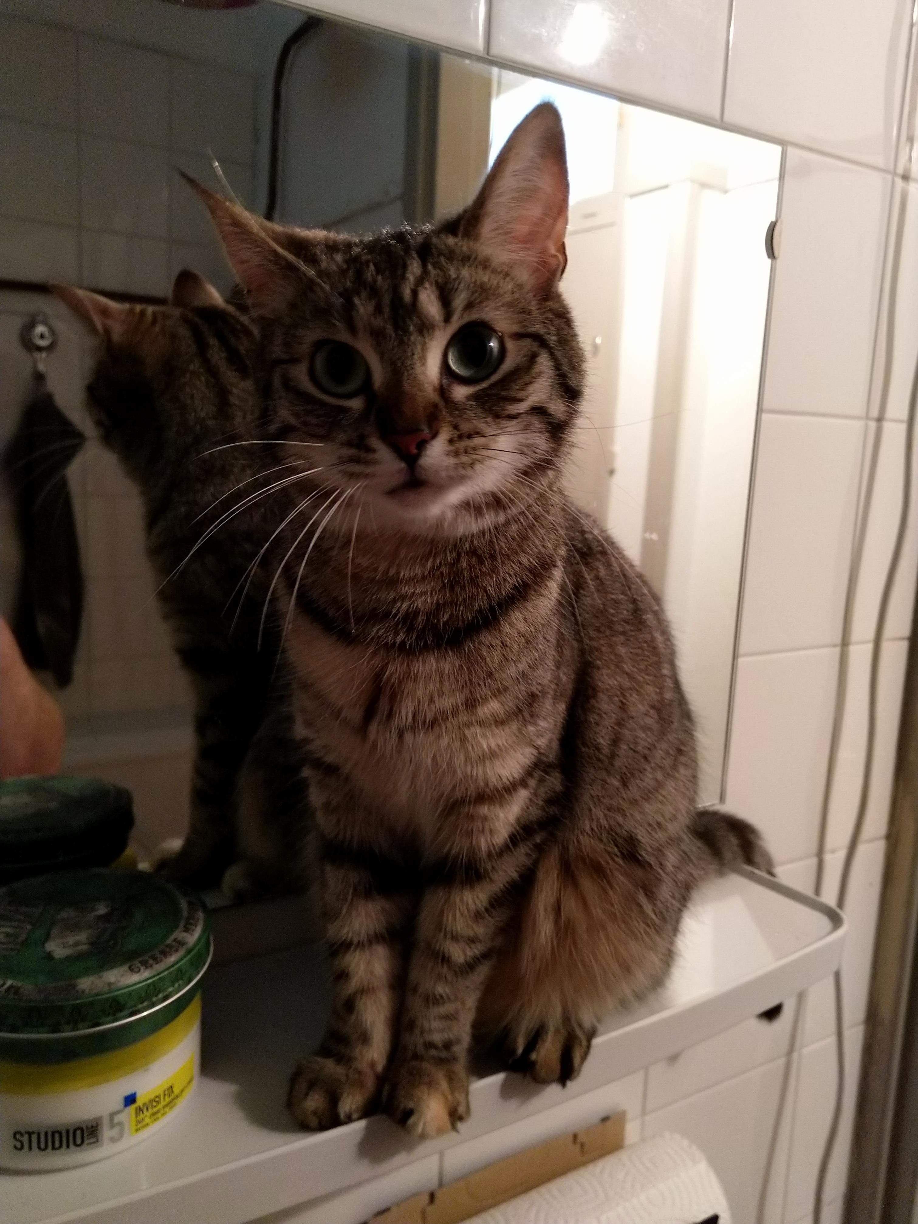 My Guardian, Keeping Me Safe While Im Taking a Shower.