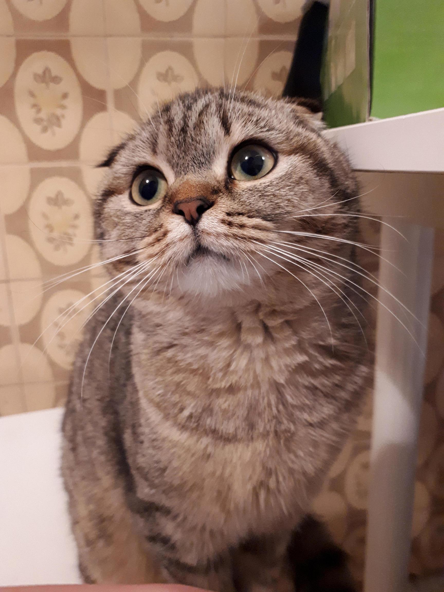 My Little Cucumber )