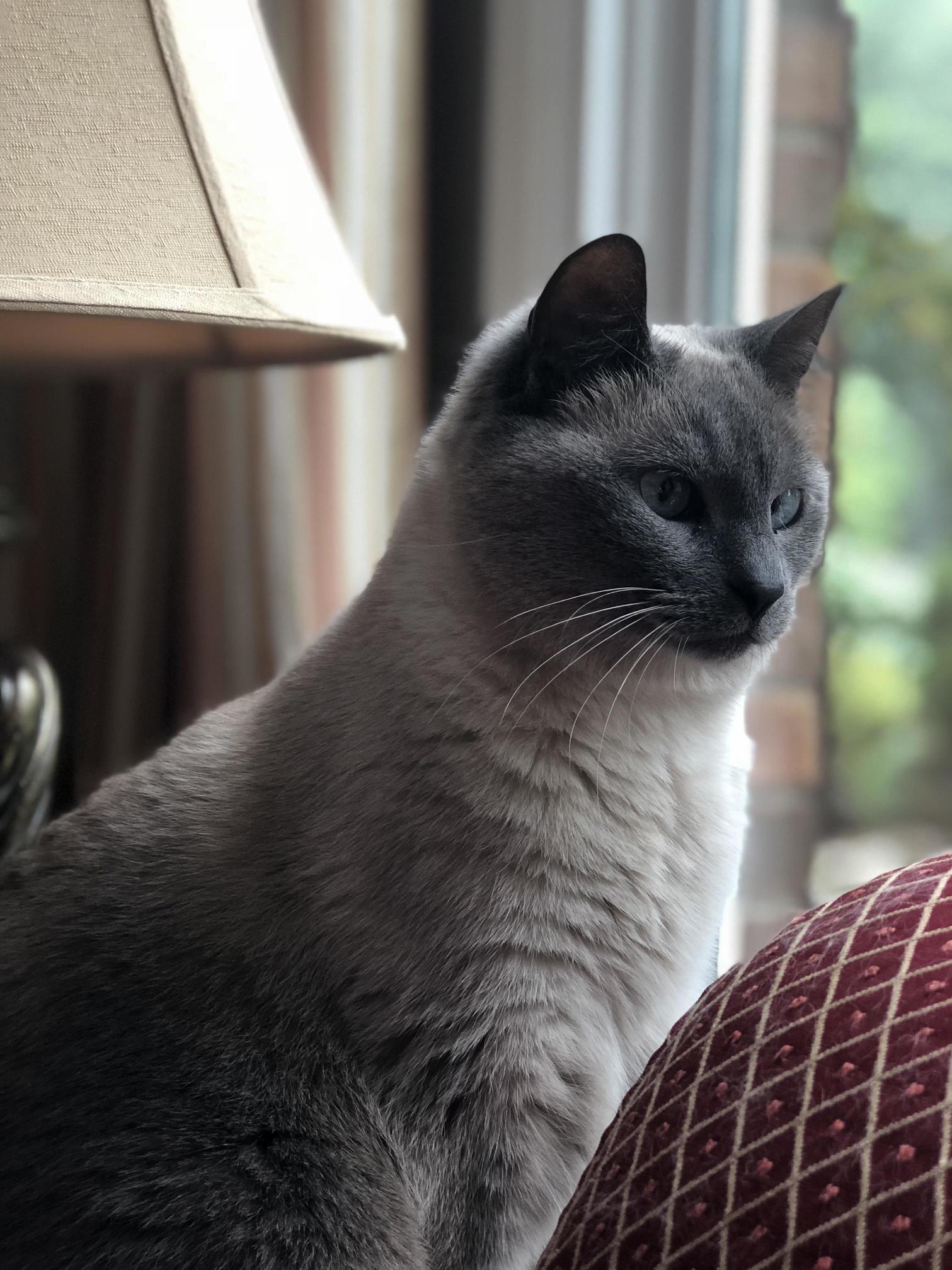 My Lola-bug. Shes Not the Brightest but Makes Up for It with Her Endless Love