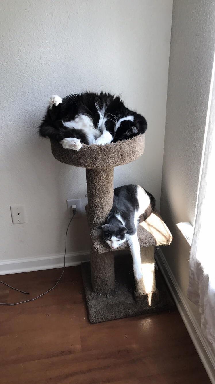 My Sleepy Girls.