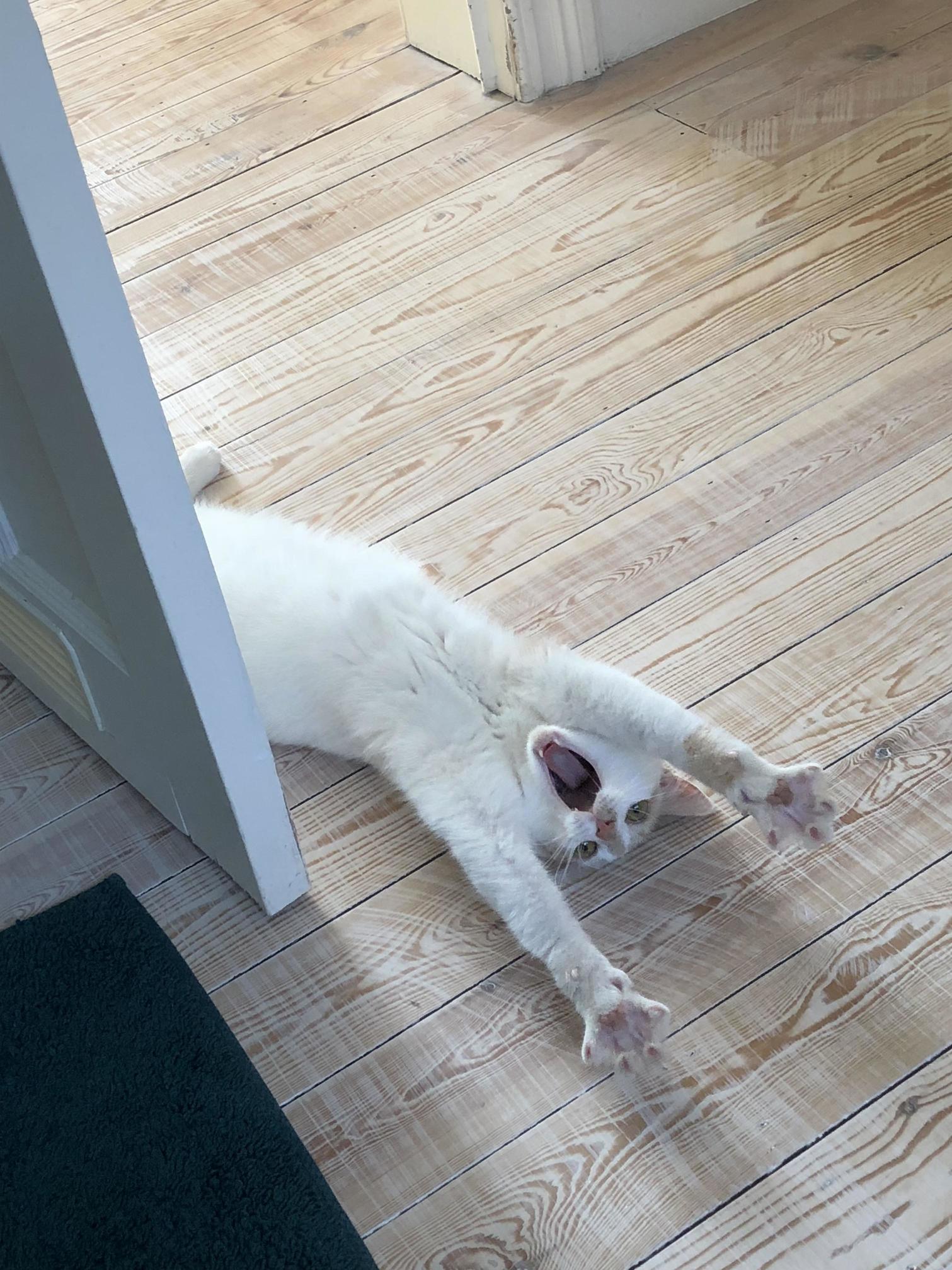 Noooo I Dont Wanna Take a Bath